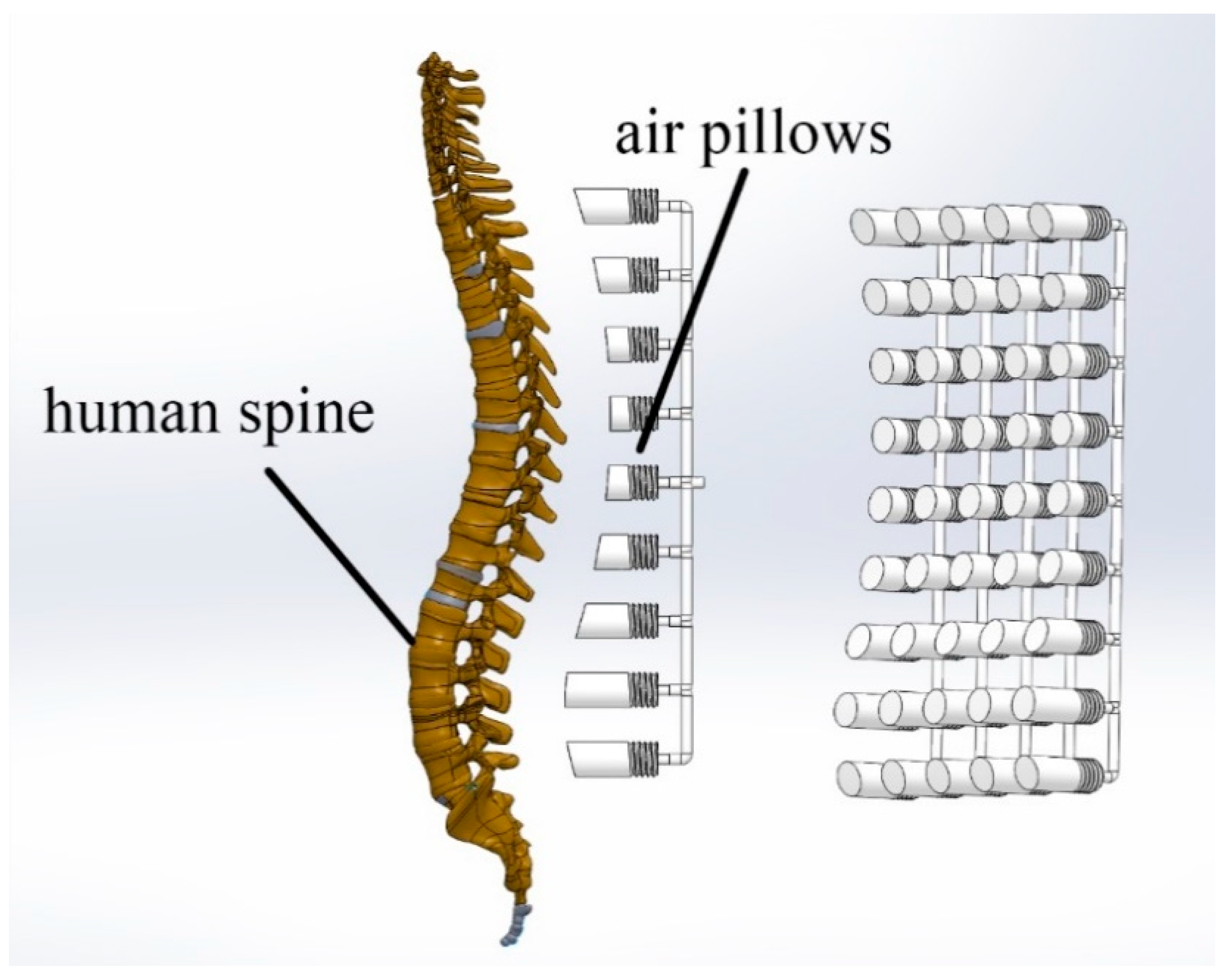 Biomimetics 08 00194 g010