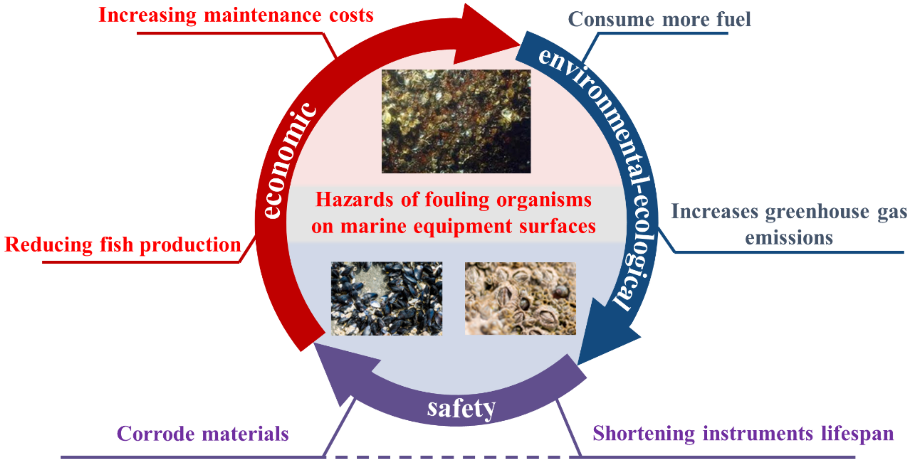 Biomimetics 08 00200 g001