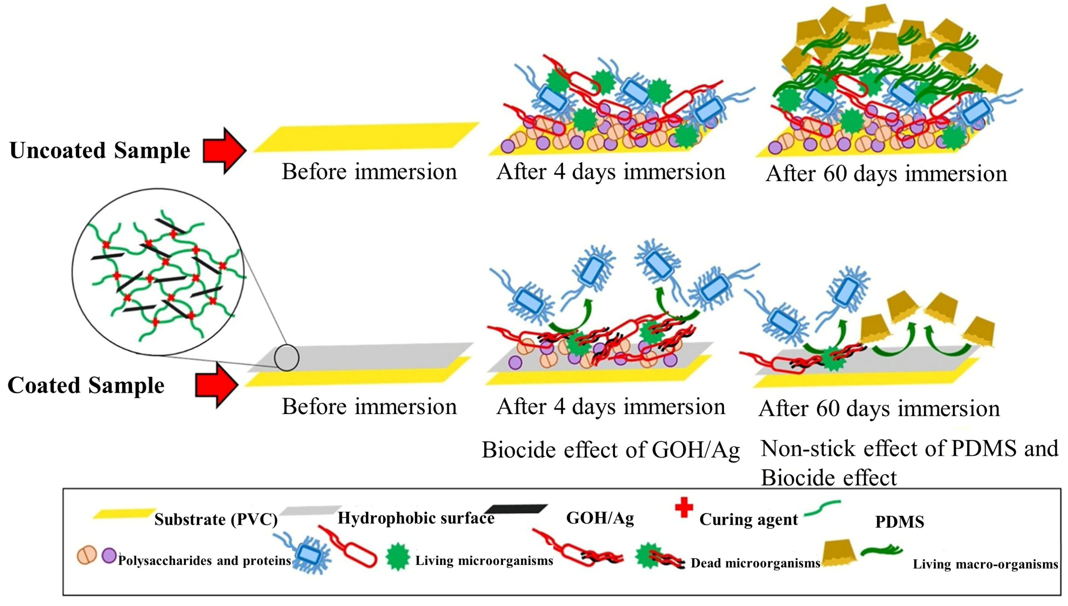 Biomimetics 08 00200 g005