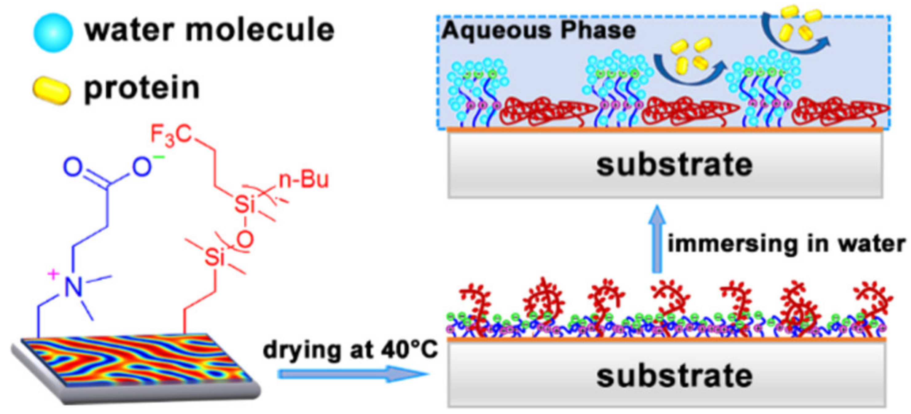 Biomimetics 08 00200 g006
