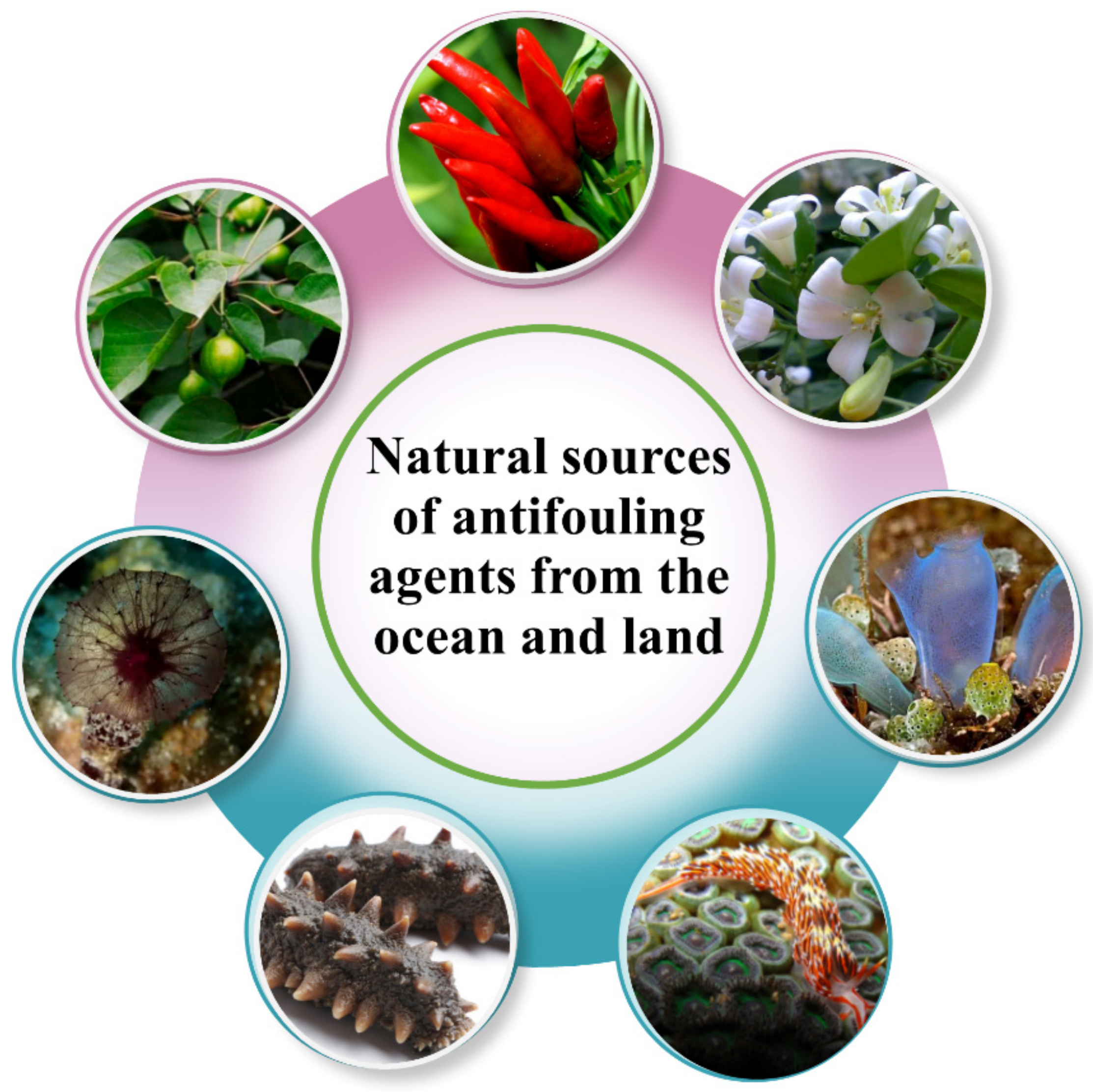 Biomimetics 08 00200 g007