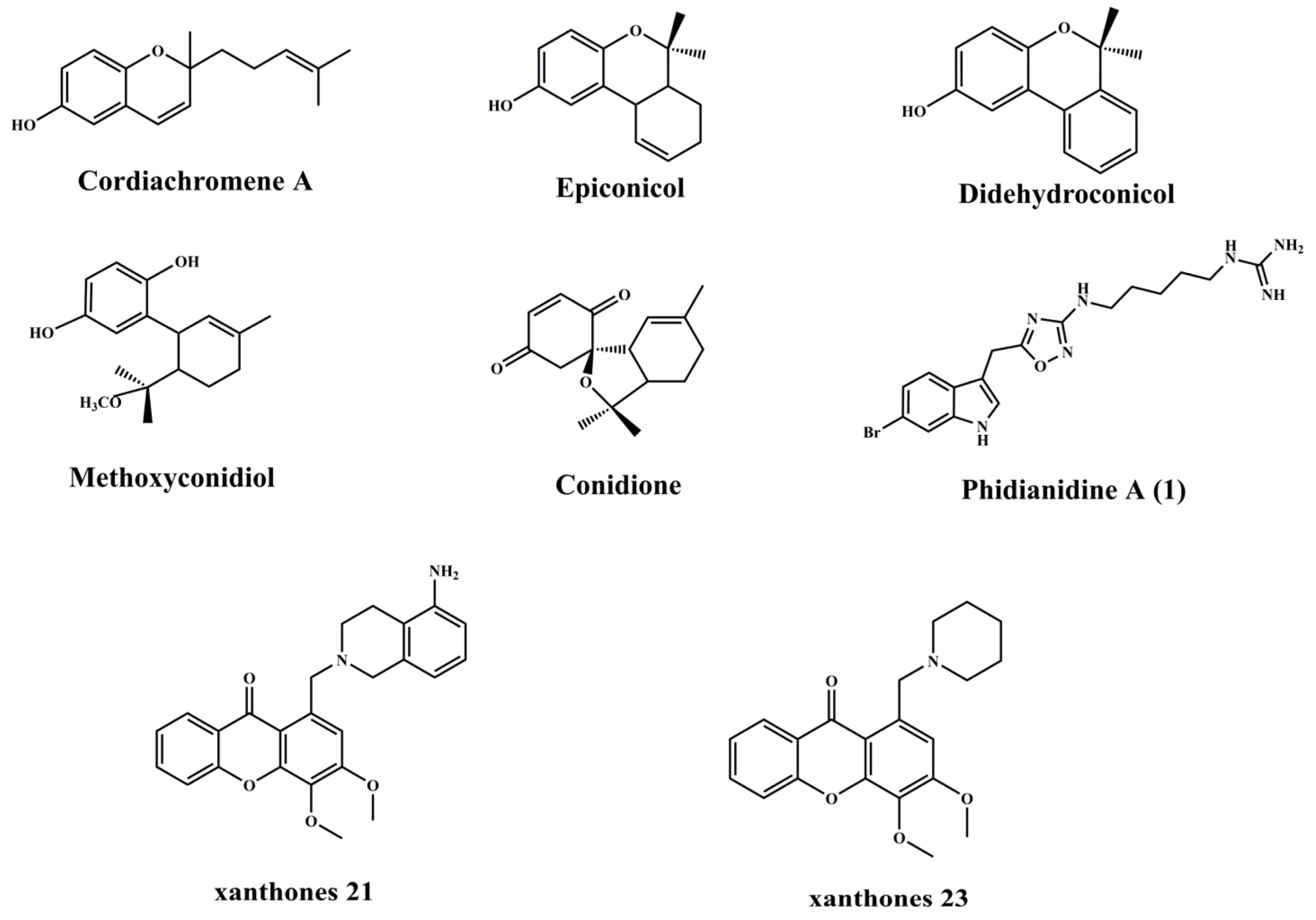 Biomimetics 08 00200 g008