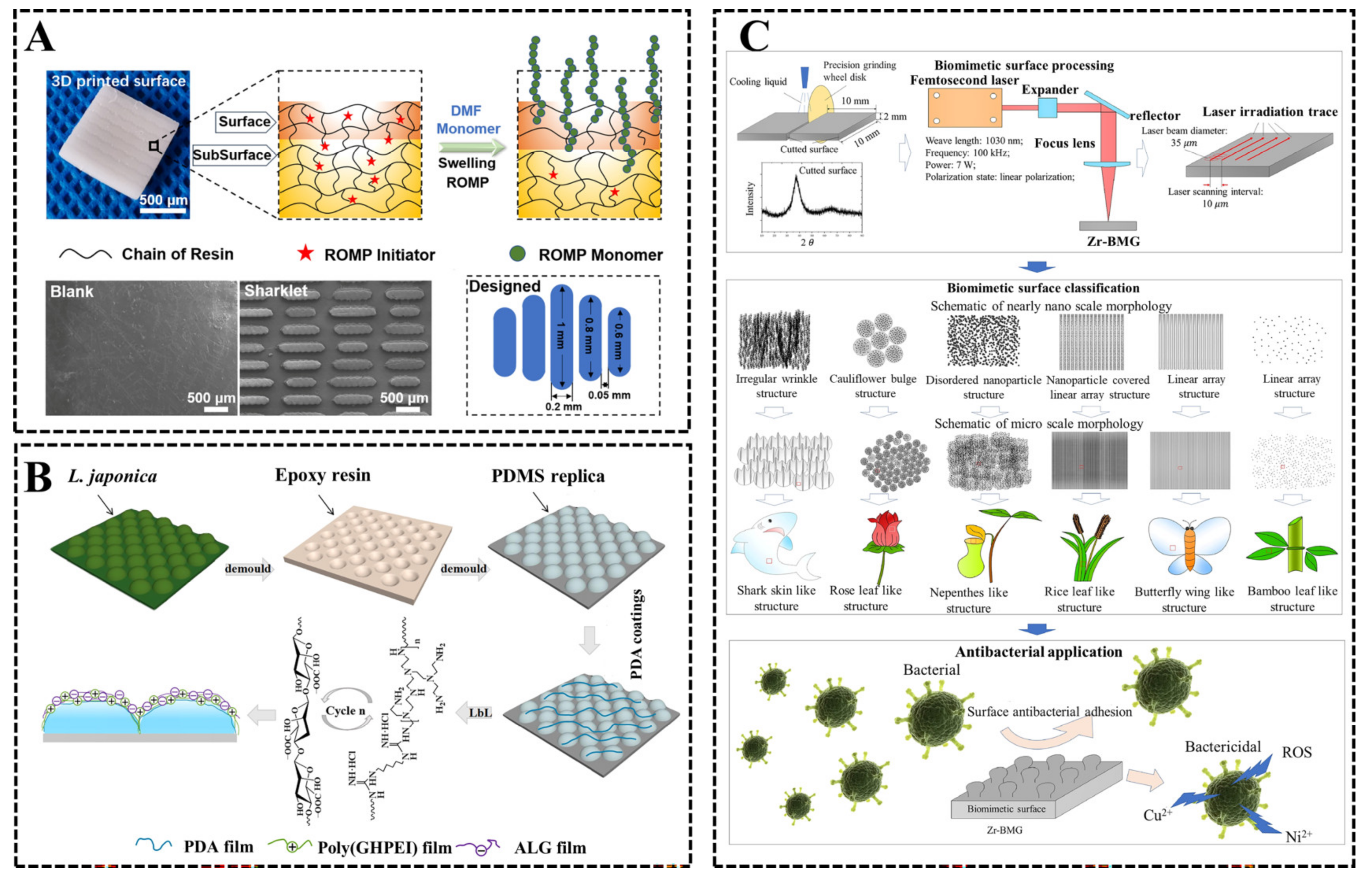 Biomimetics 08 00200 g011
