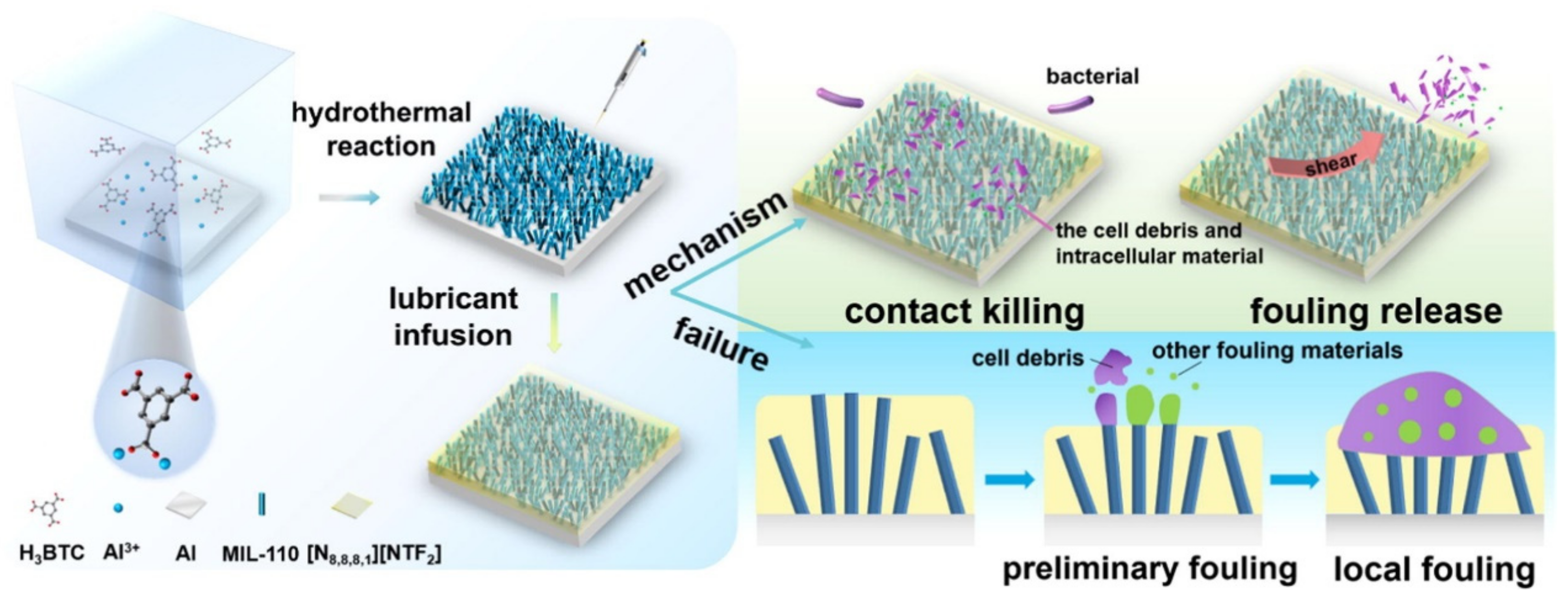 Biomimetics 08 00200 g014