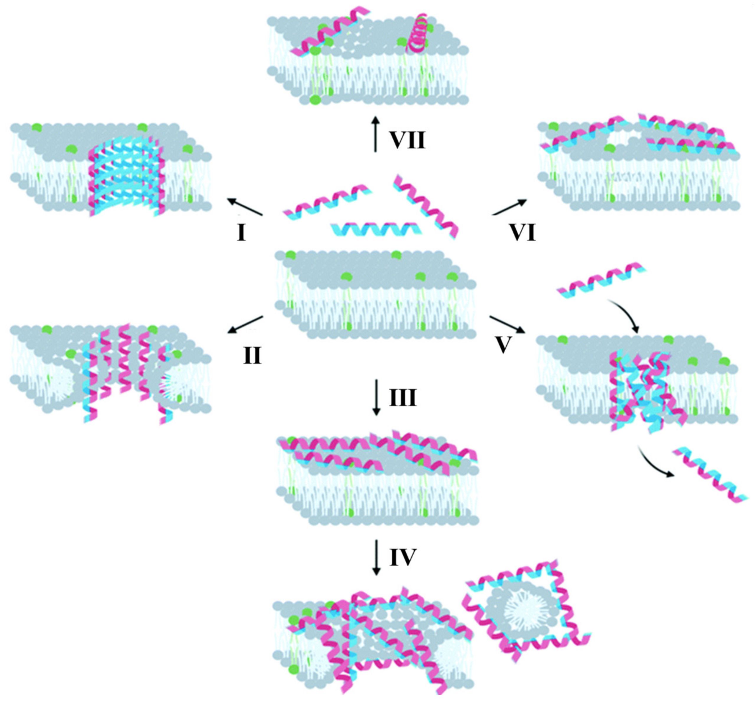 Biomimetics 08 00200 g015