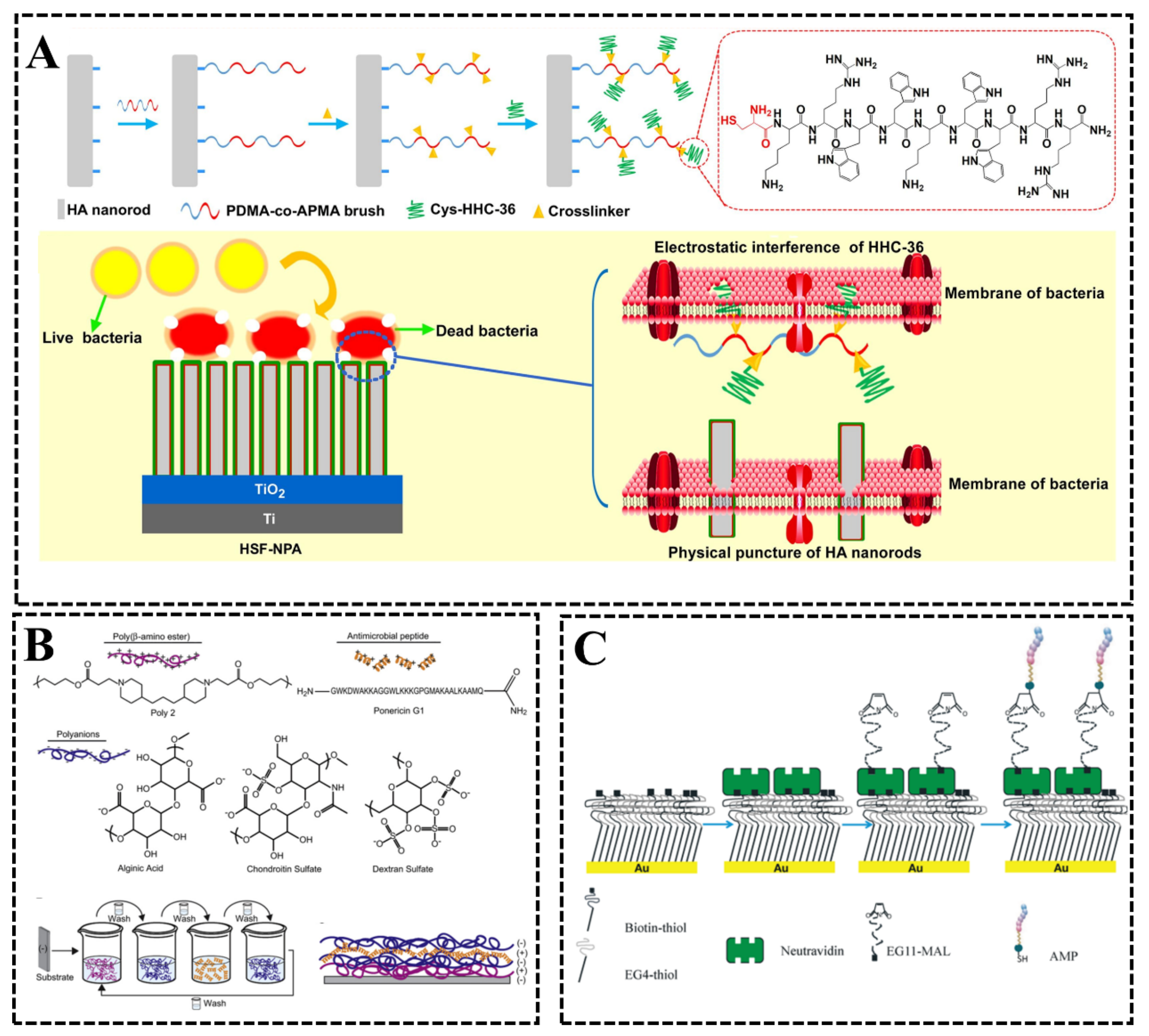 Biomimetics 08 00200 g016