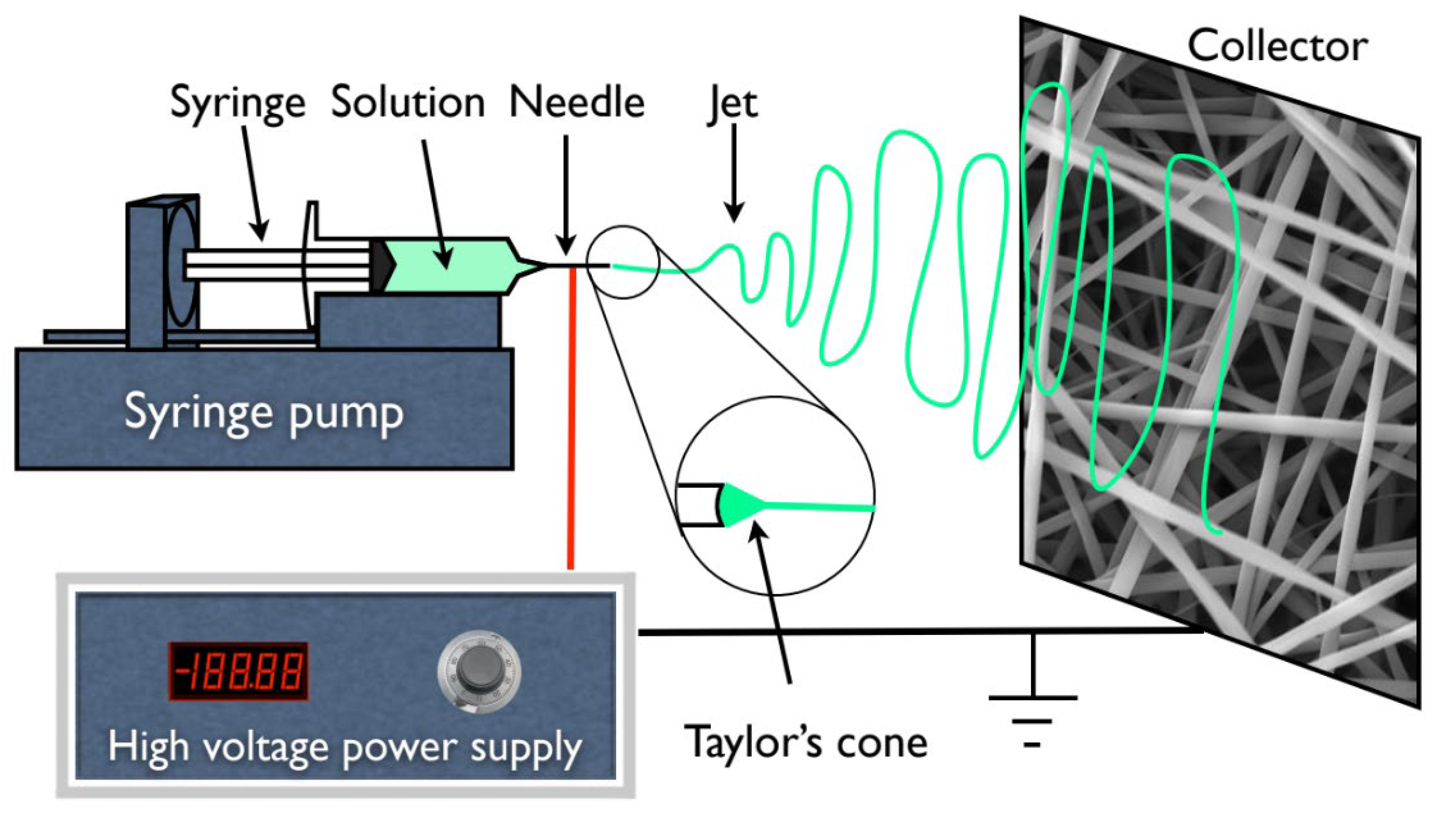 Biomimetics 08 00206 g001