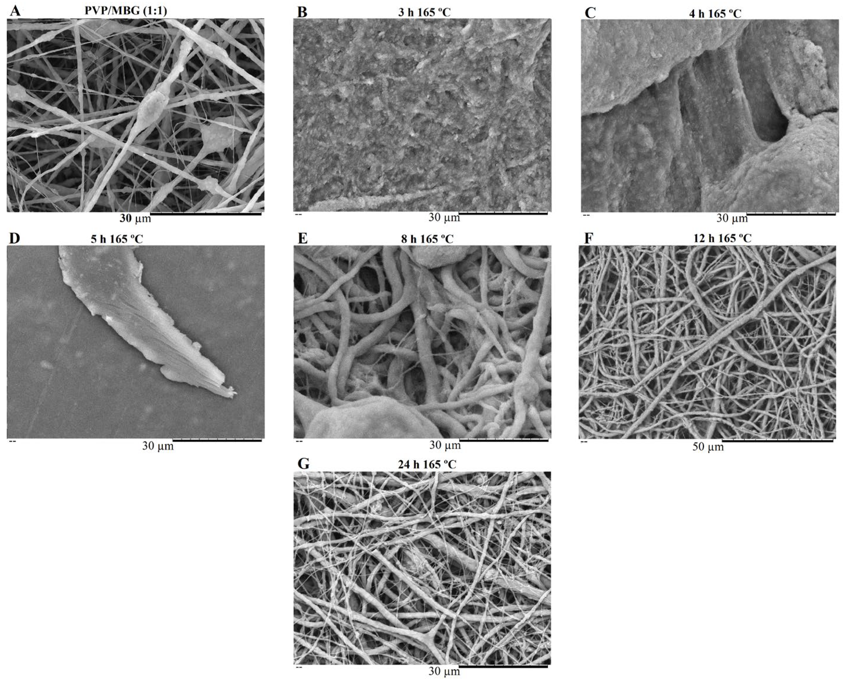 Biomimetics 08 00206 g008