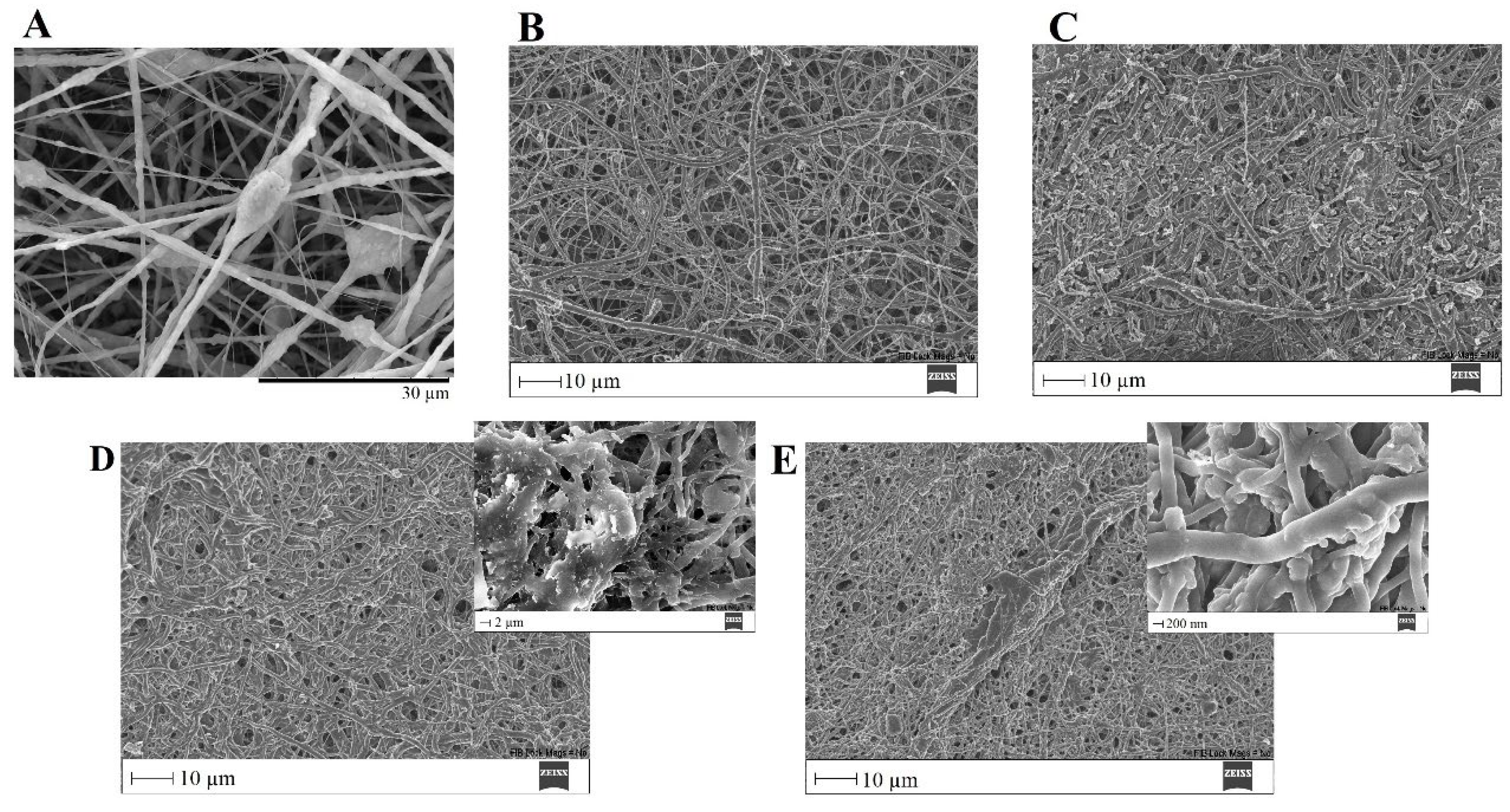 Biomimetics 08 00206 g017