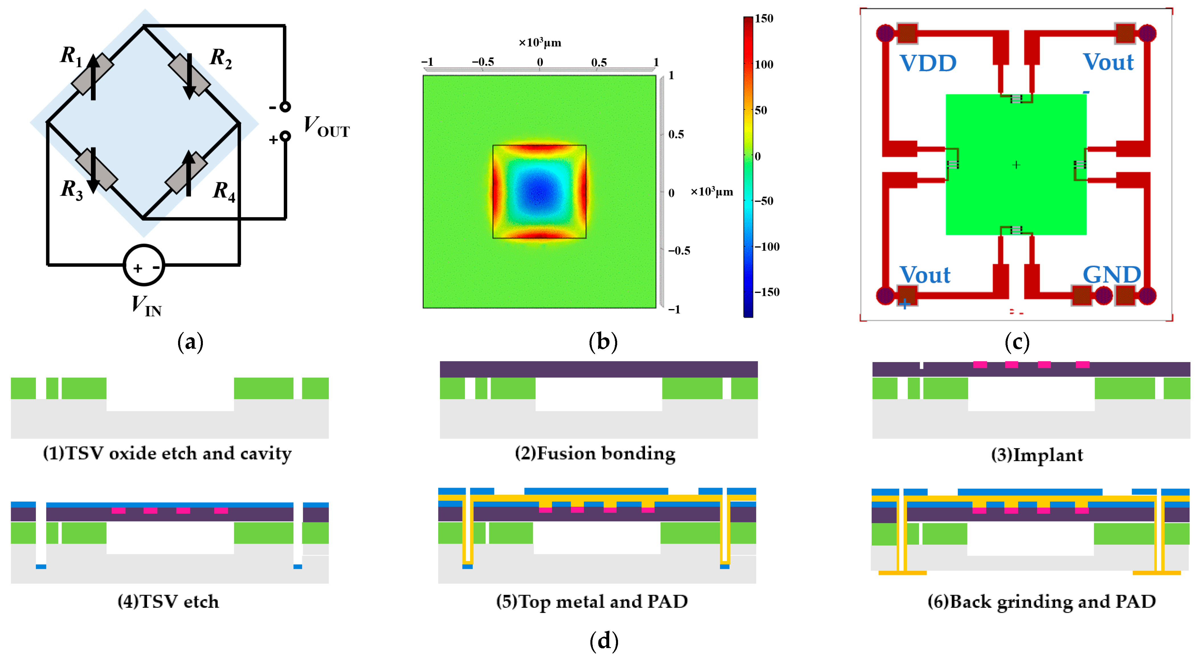Biomimetics 08 00207 g002a