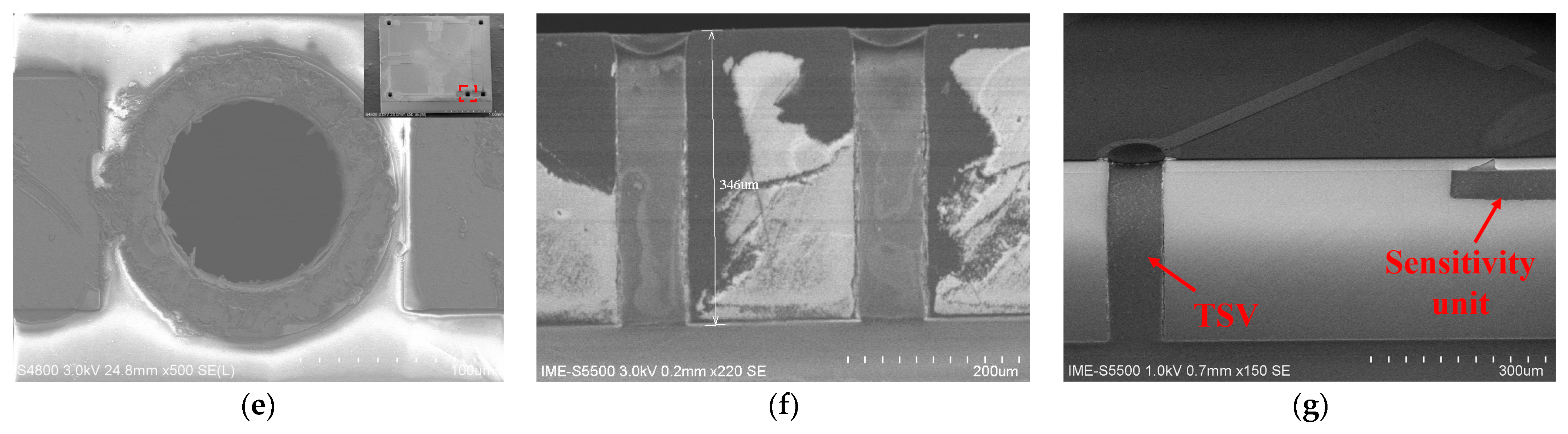 Biomimetics 08 00207 g002b