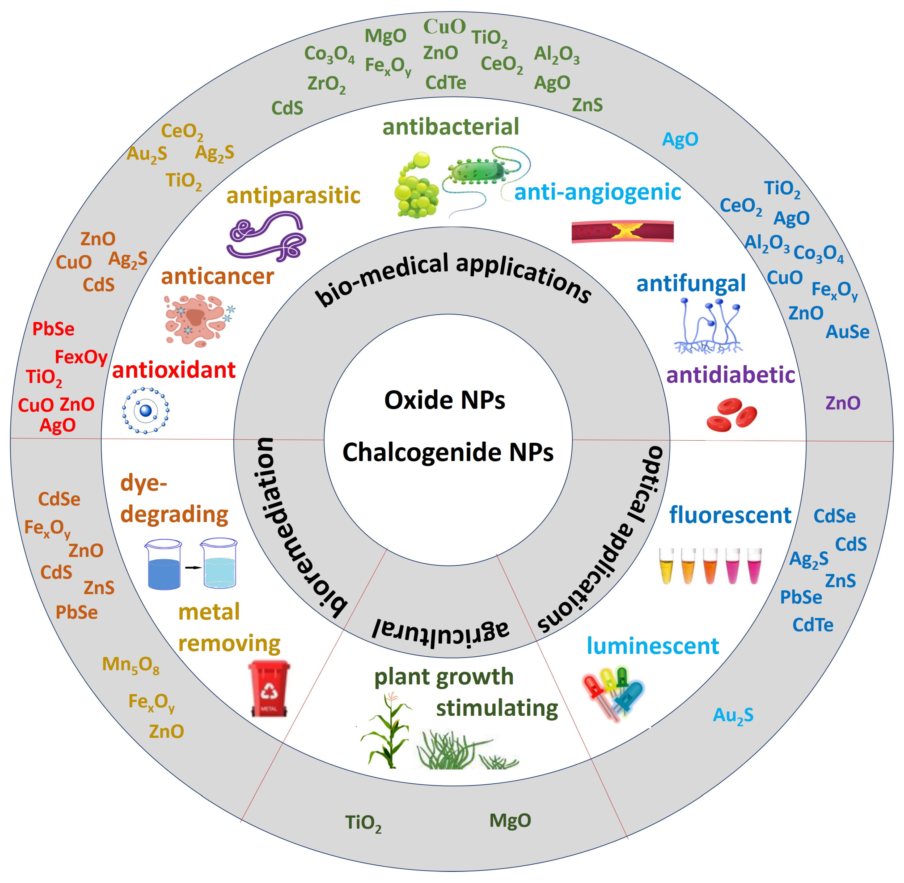 Biomimetics 08 00224 g001