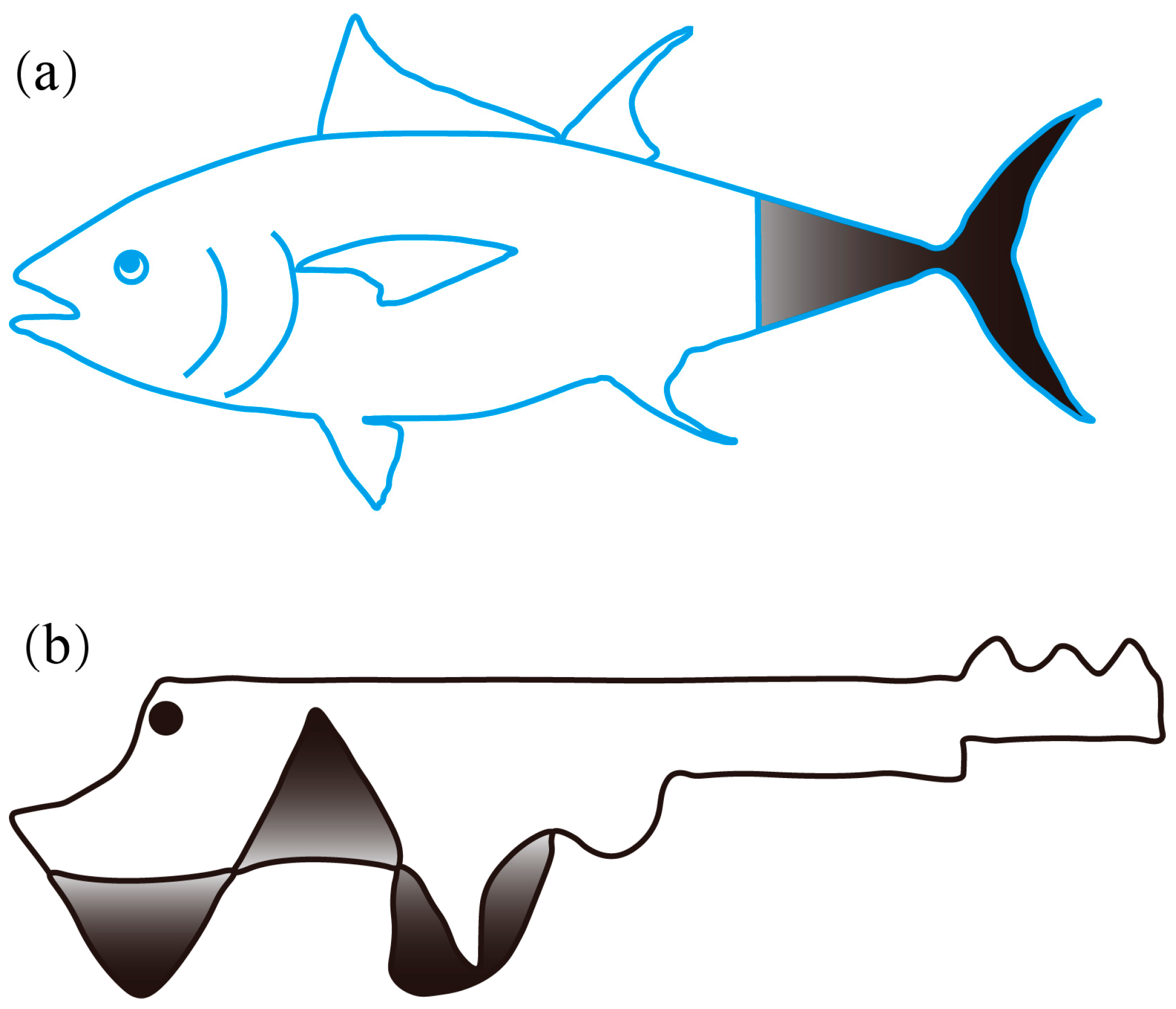 Biomimetics 08 00227 g001