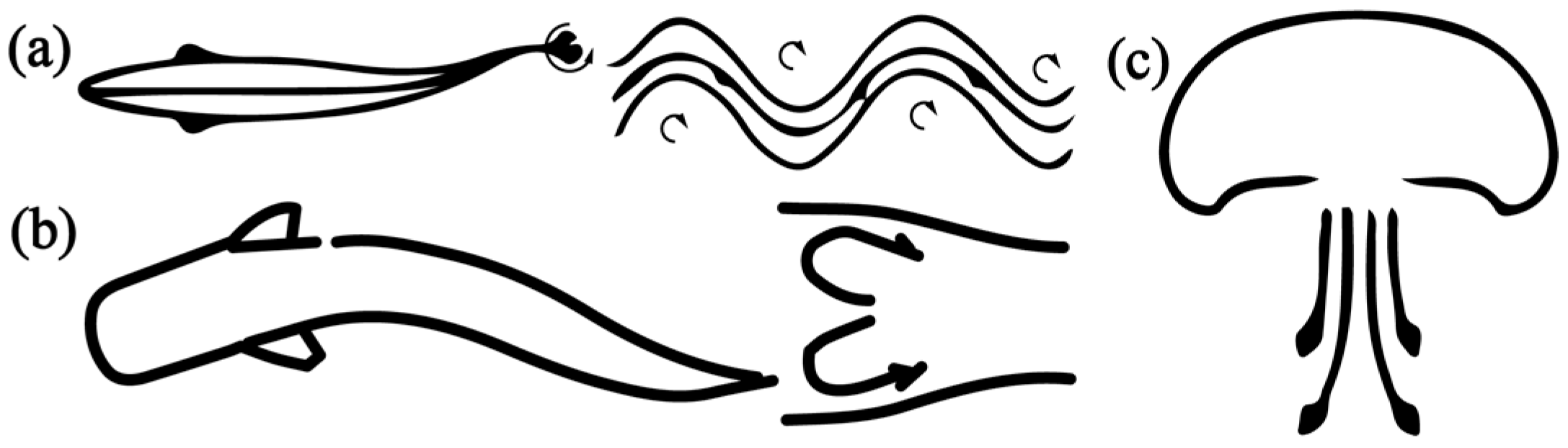 Biomimetics 08 00227 g002