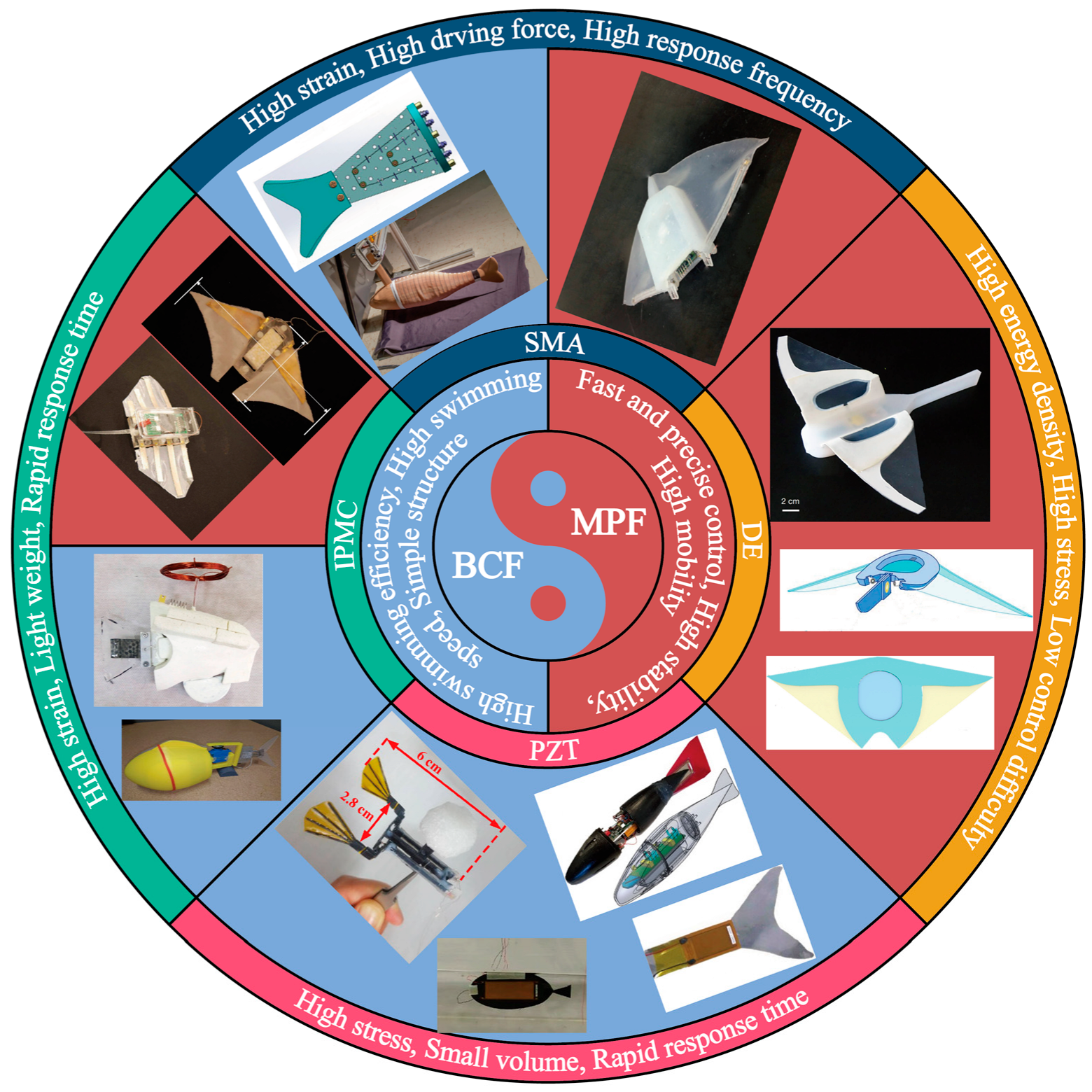 Biomimetics 08 00227 g005