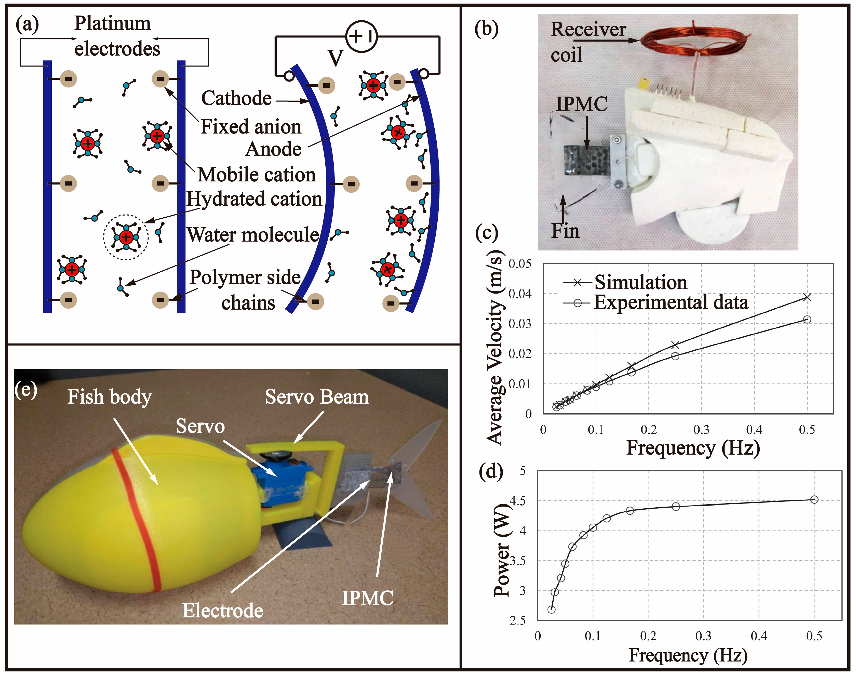 Biomimetics 08 00227 g007