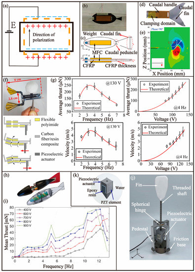 Biomimetics 08 00227 g008