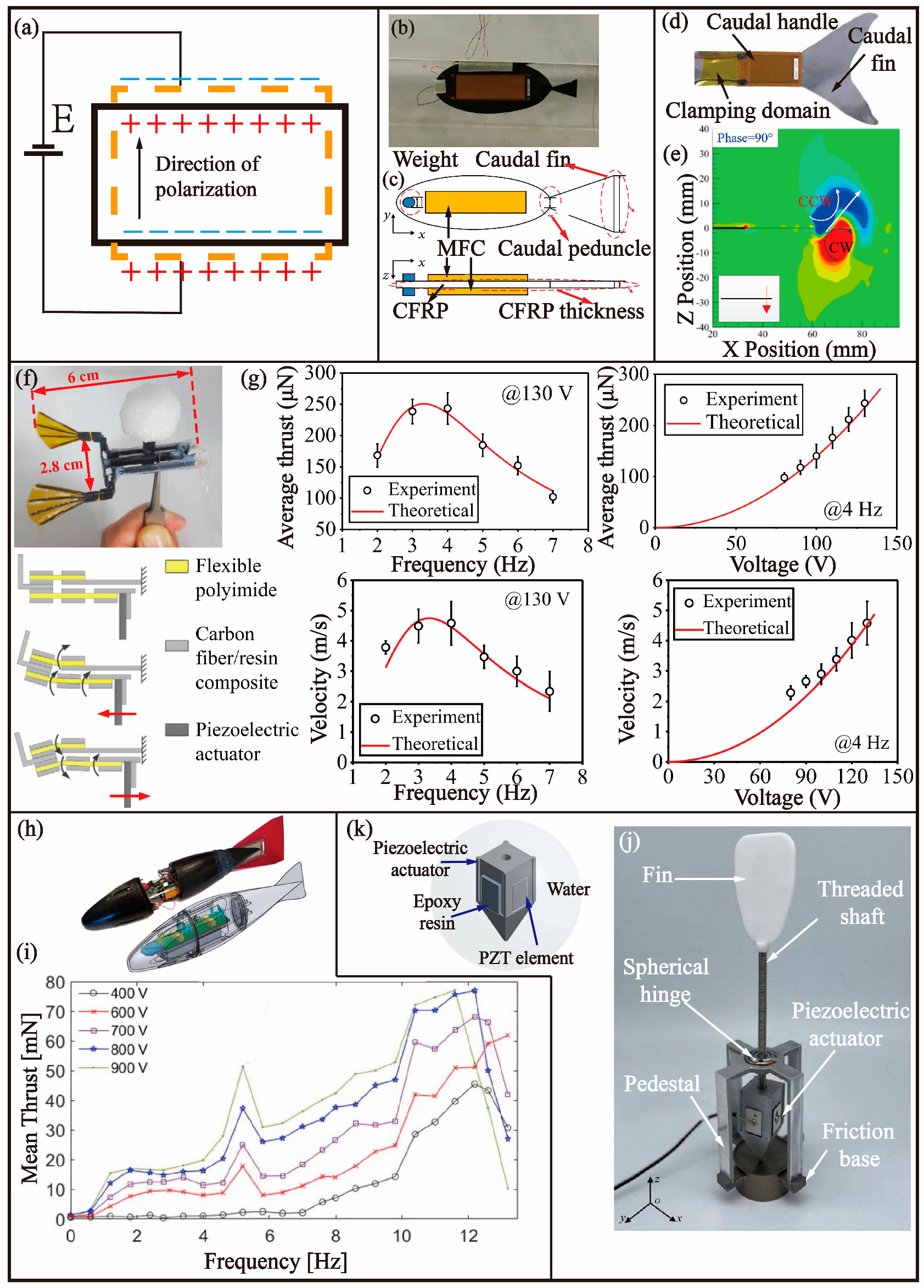 Biomimetics 08 00227 g008