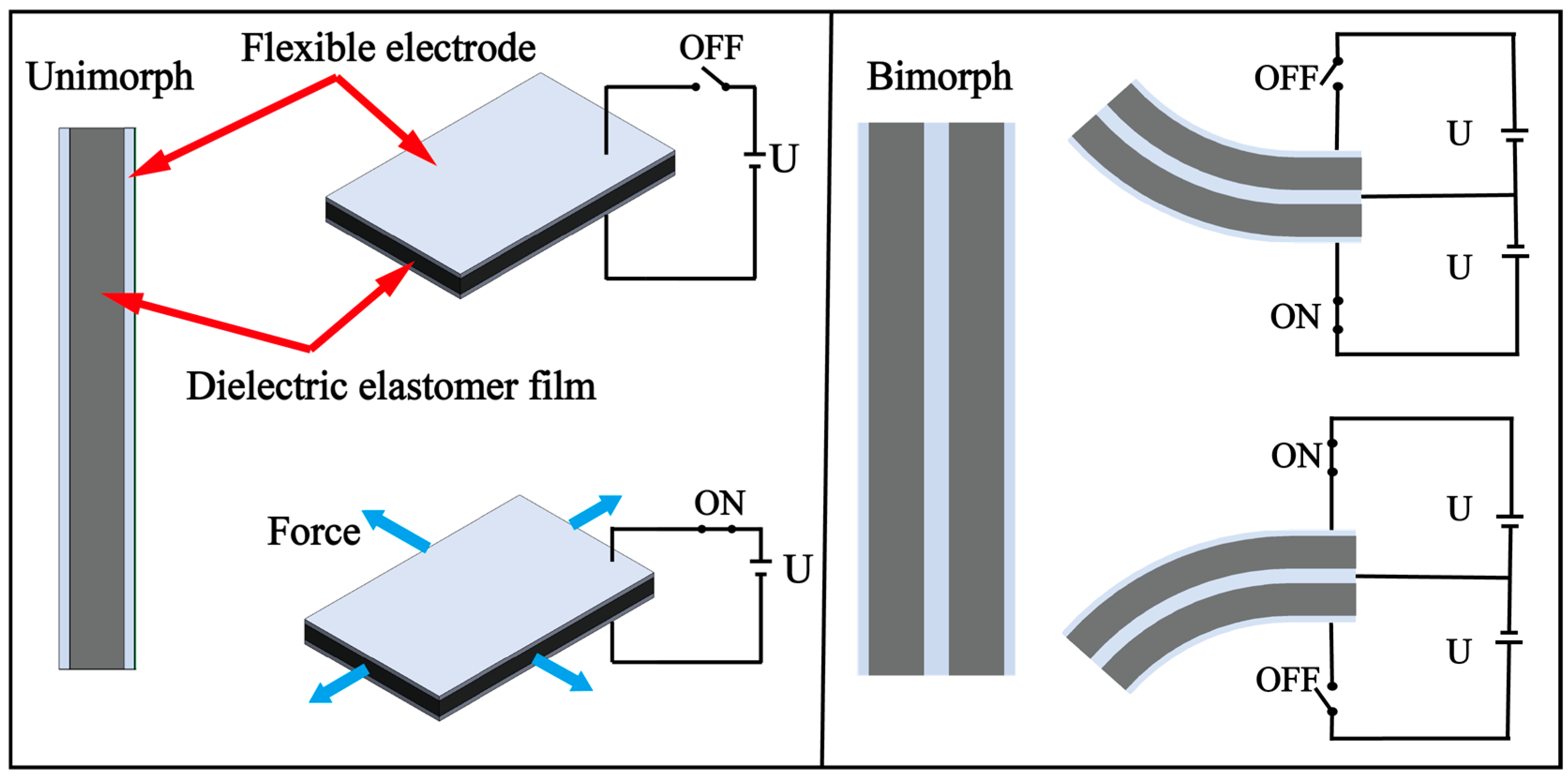 Biomimetics 08 00227 g009