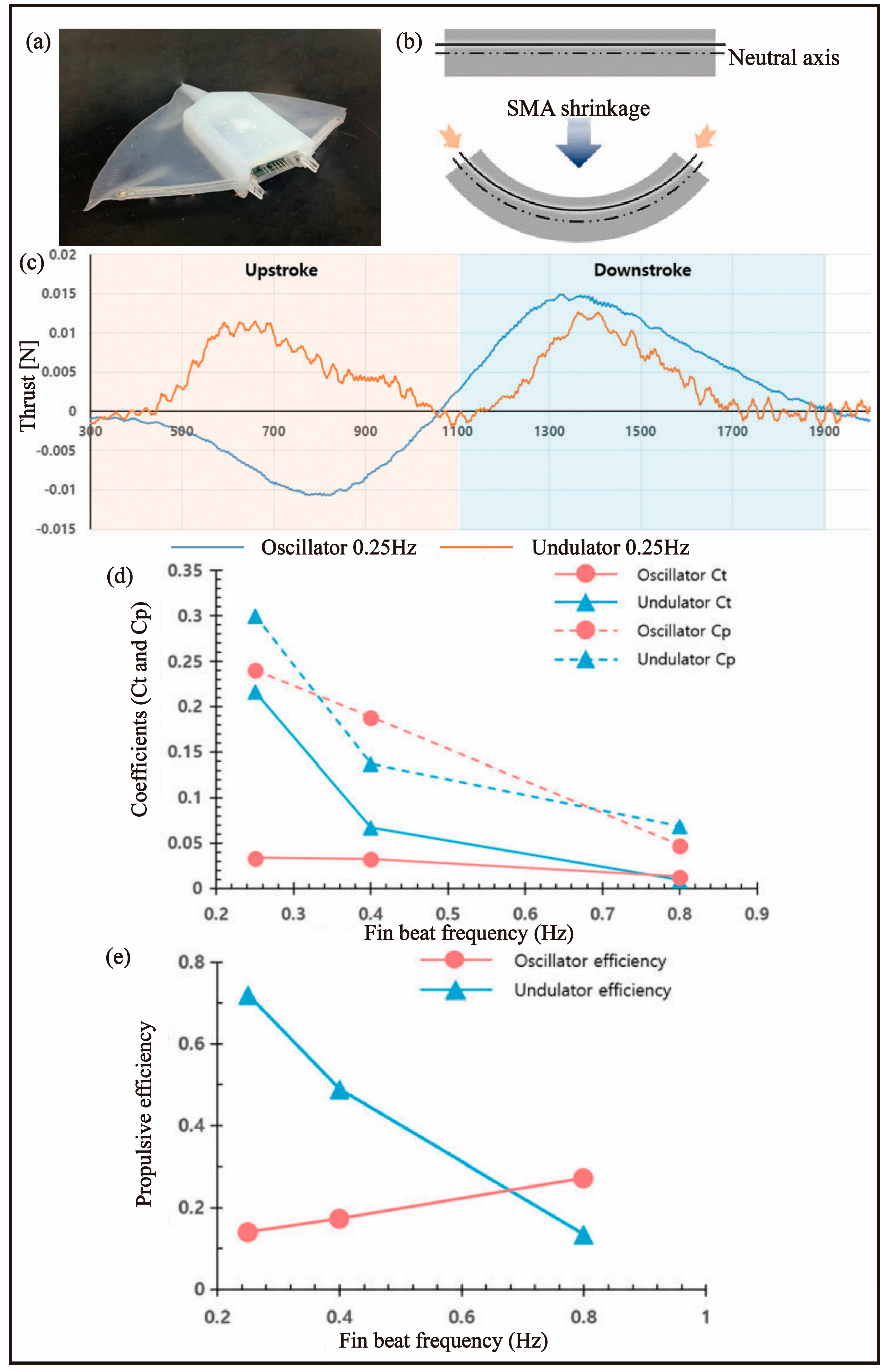 Biomimetics 08 00227 g010