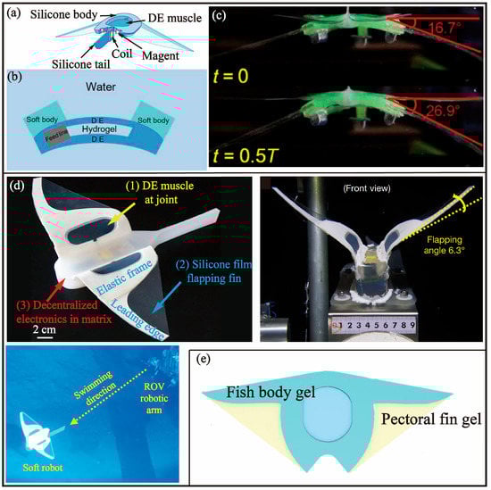 Biomimetics 08 00227 g012