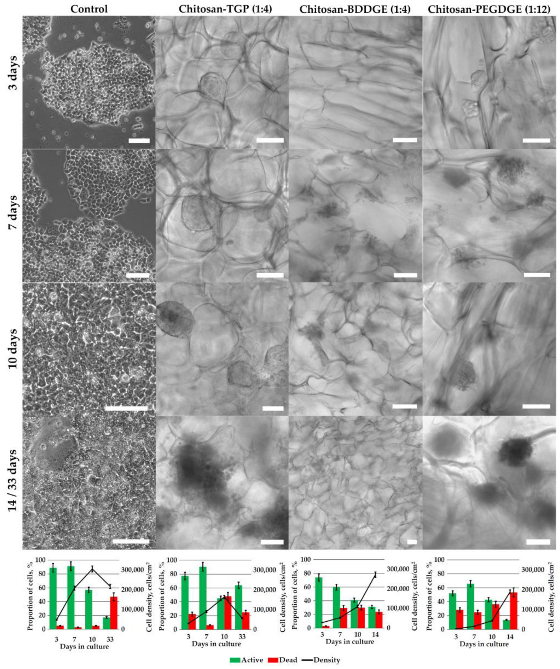 Biomimetics 08 00228 g003