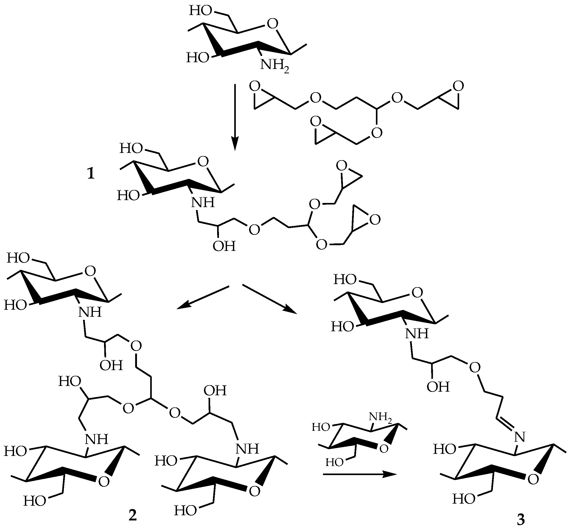 Biomimetics 08 00228 sch003