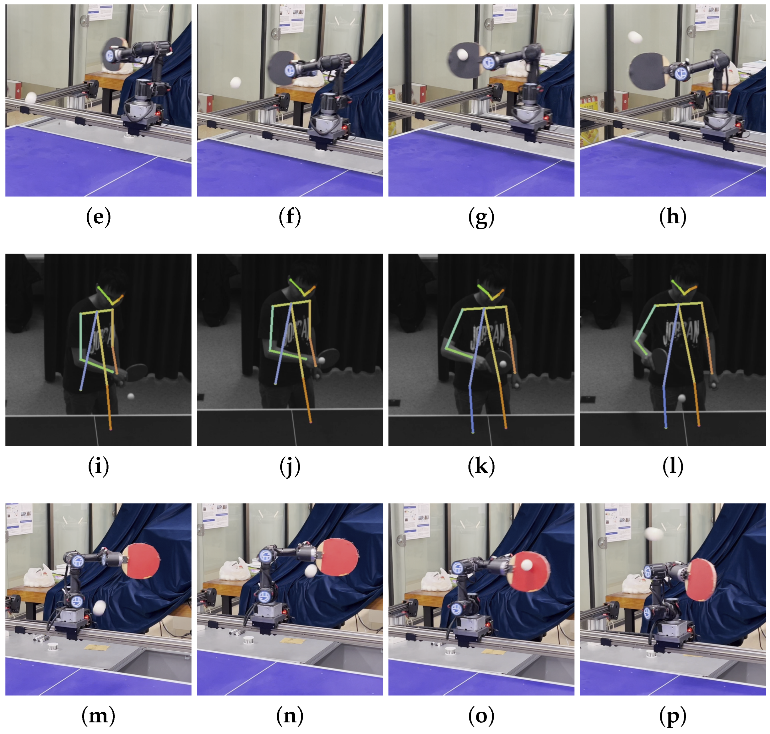 Biomimetics 08 00229 g005b