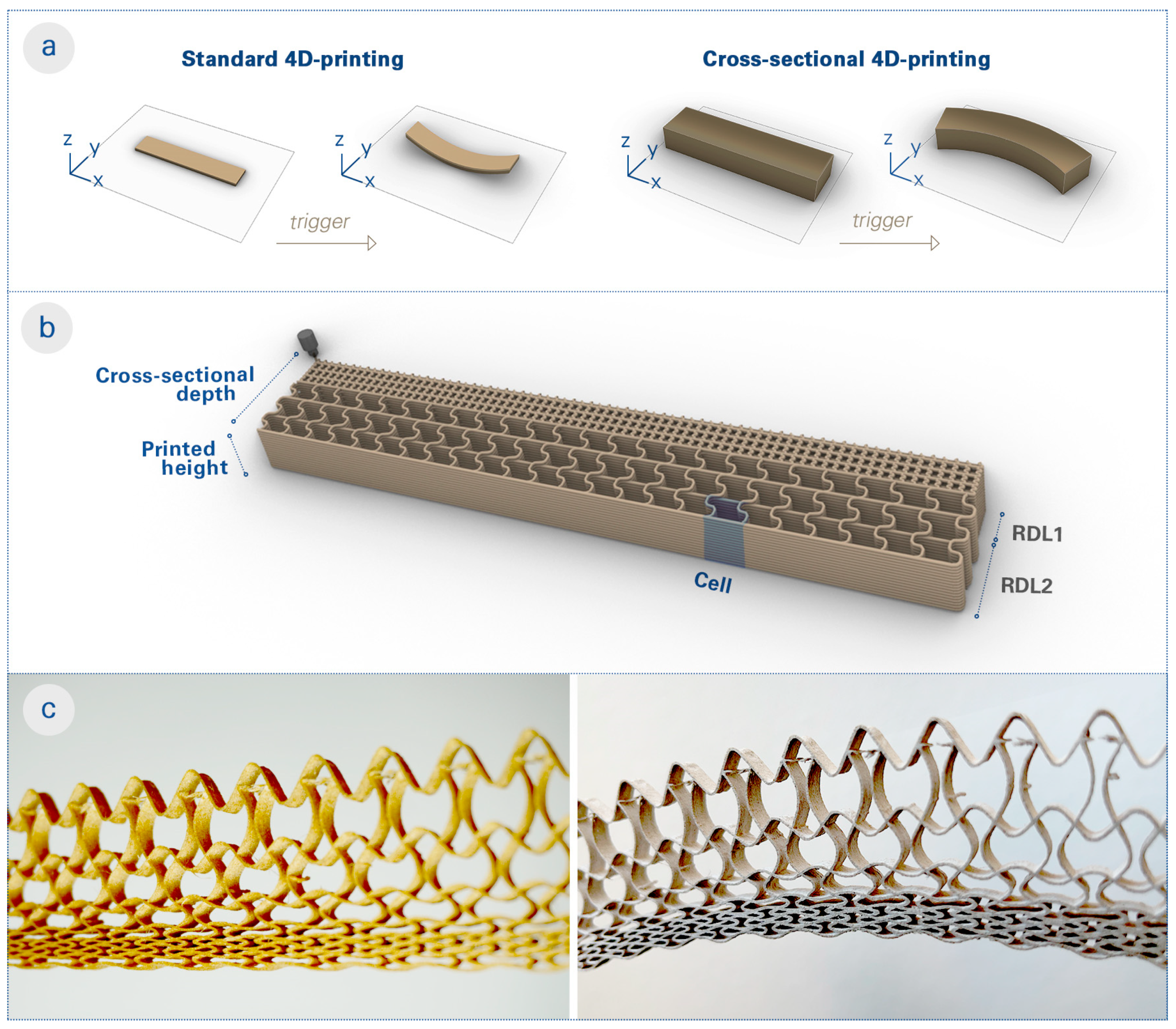 Biomimetics 08 00233 g001 Biomimetics 08 00233 g001