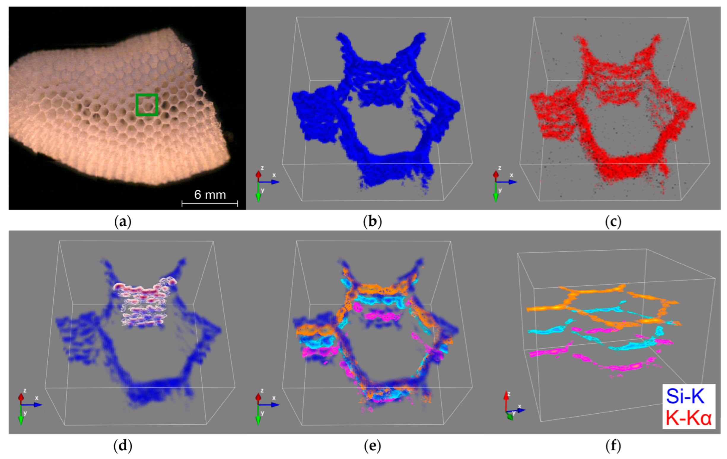Biomimetics 08 00234 g007