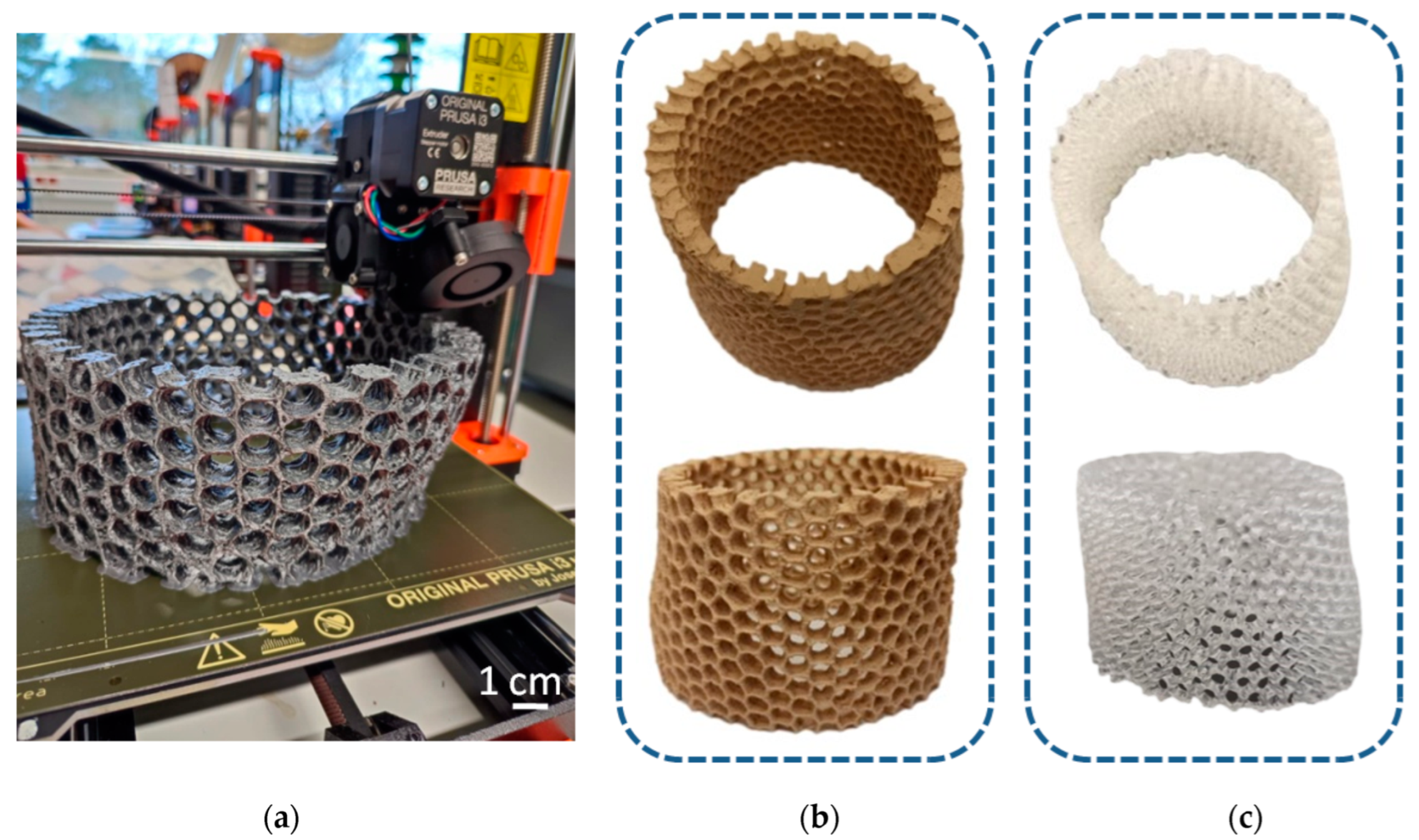 Biomimetics 08 00234 g016