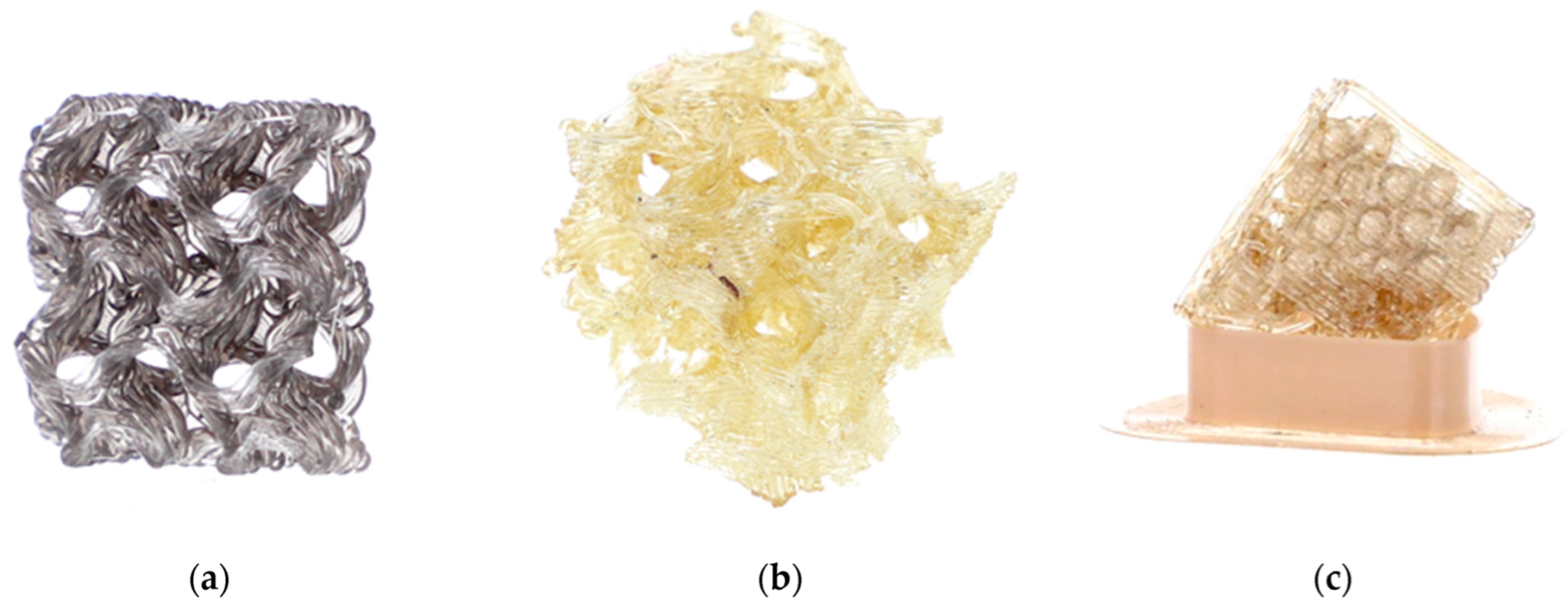 Biomimetics 08 00234 g019