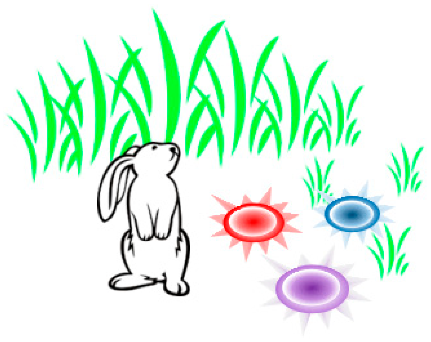 Biomimetics 08 00243 g001