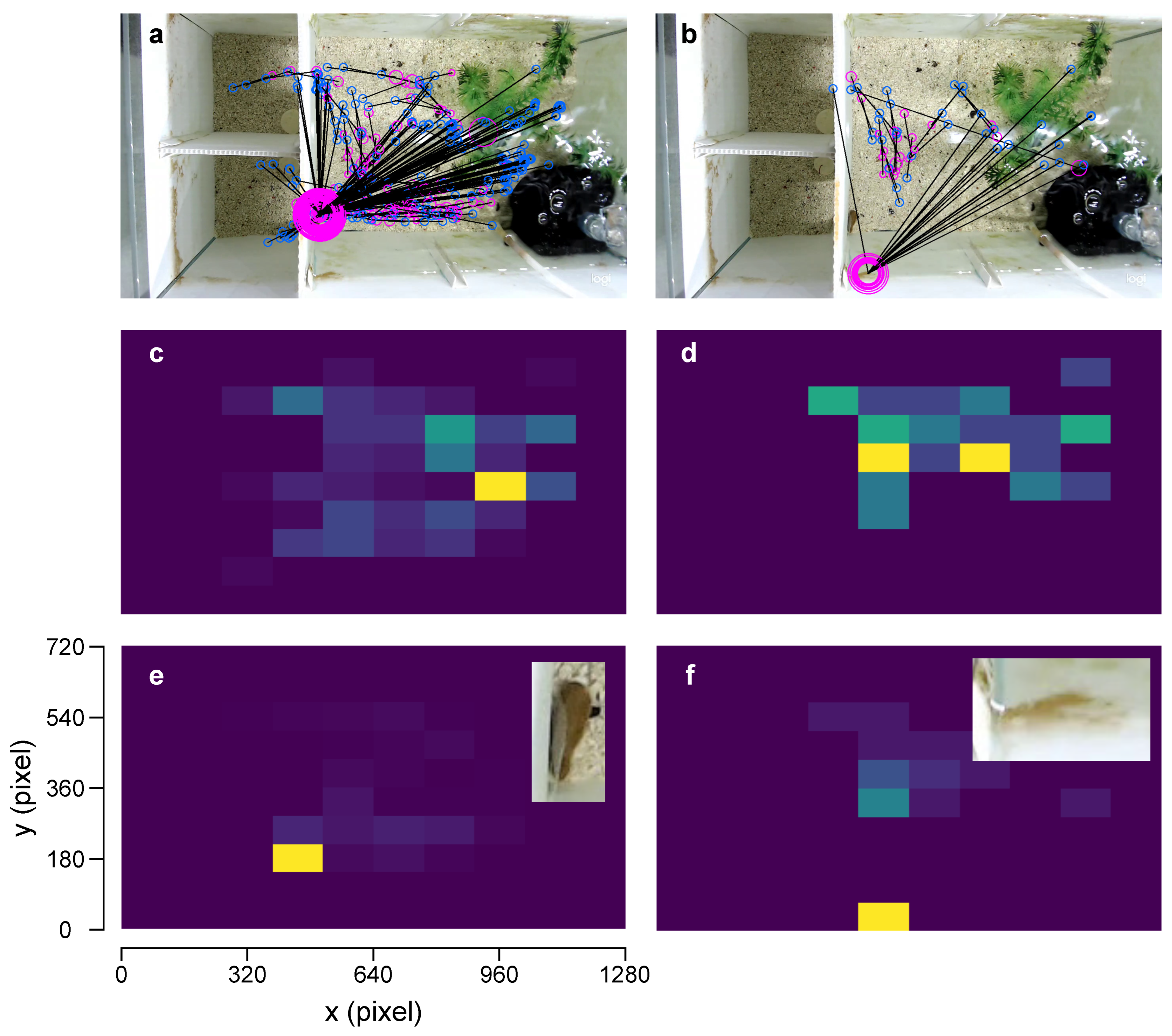 Biomimetics 08 00248 g005