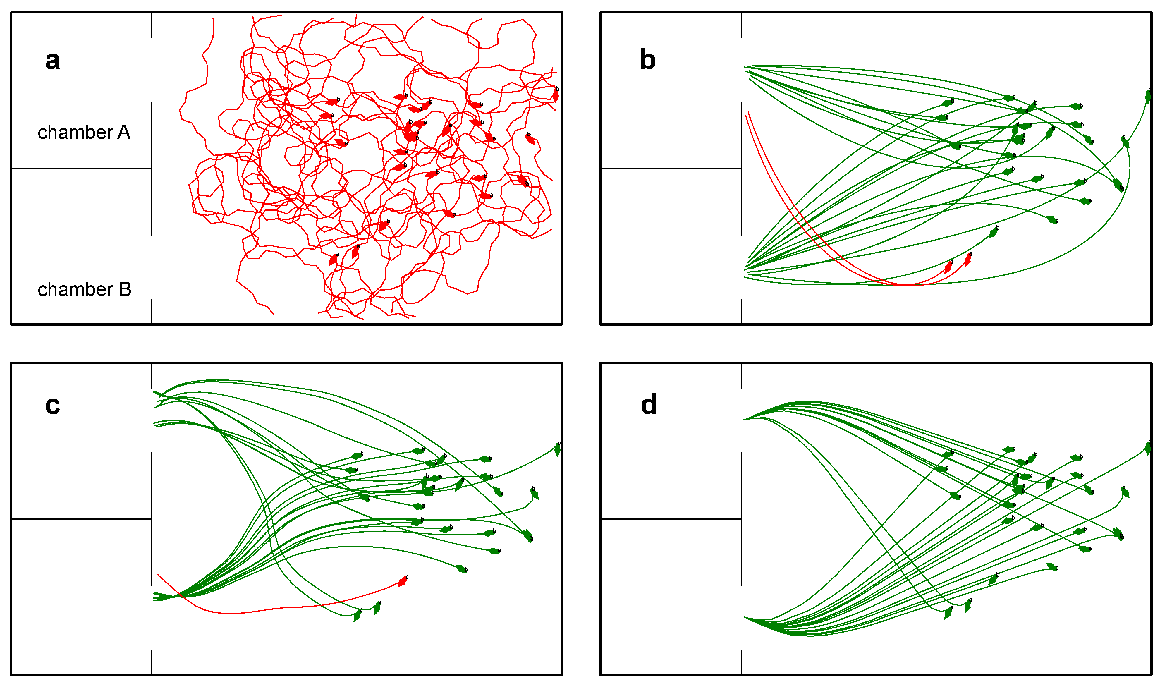 Biomimetics 08 00248 g006