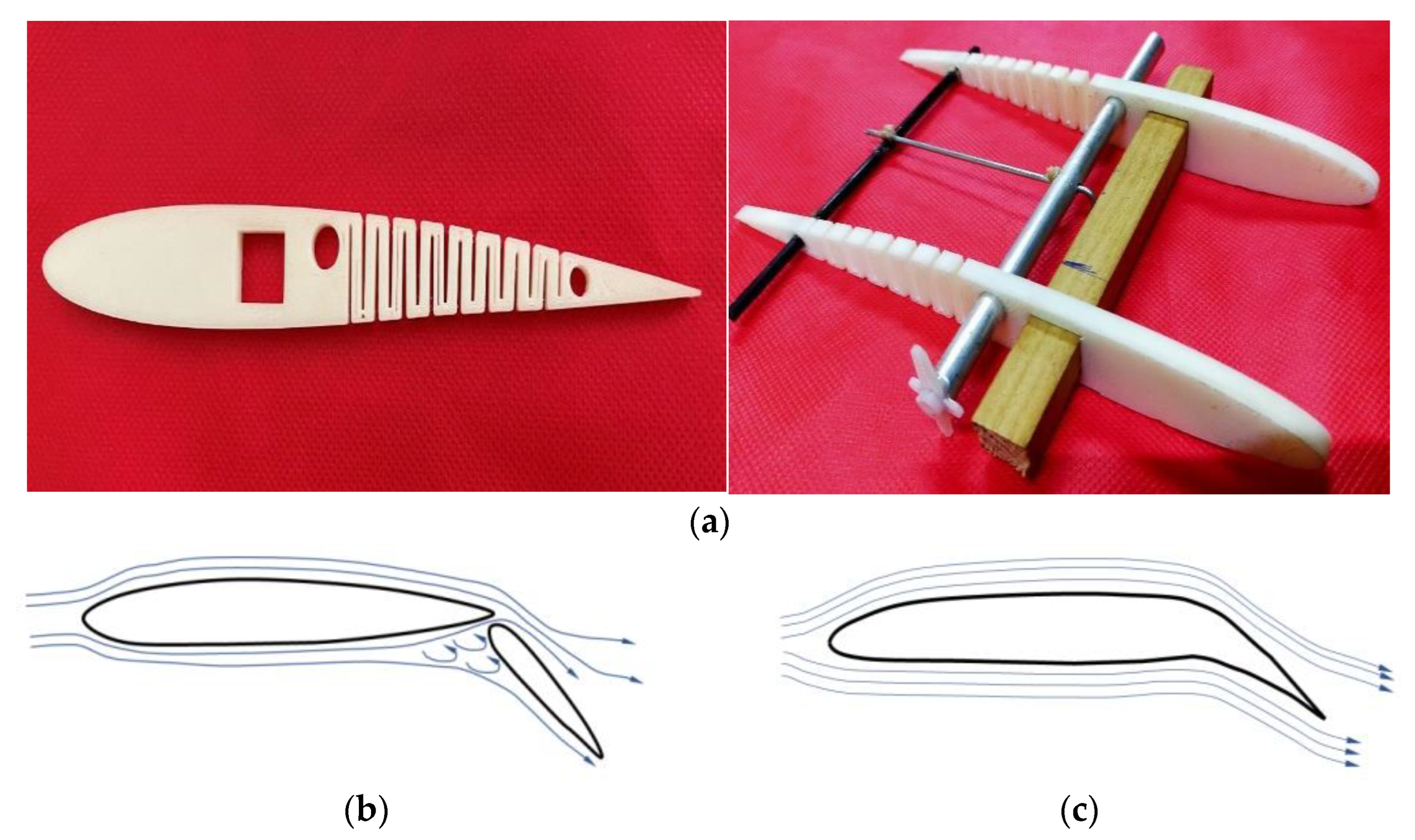 Biomimetics 08 00251 g001
