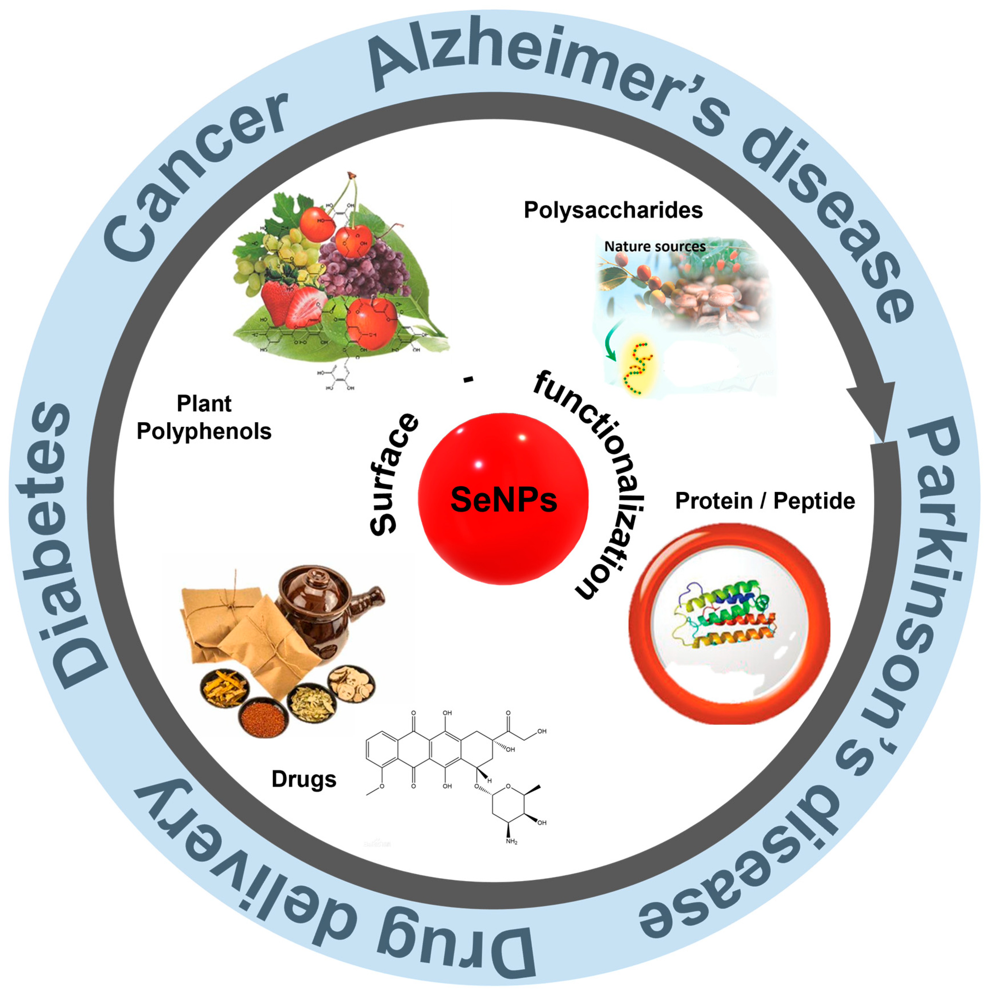 Biomimetics 08 00259 g002