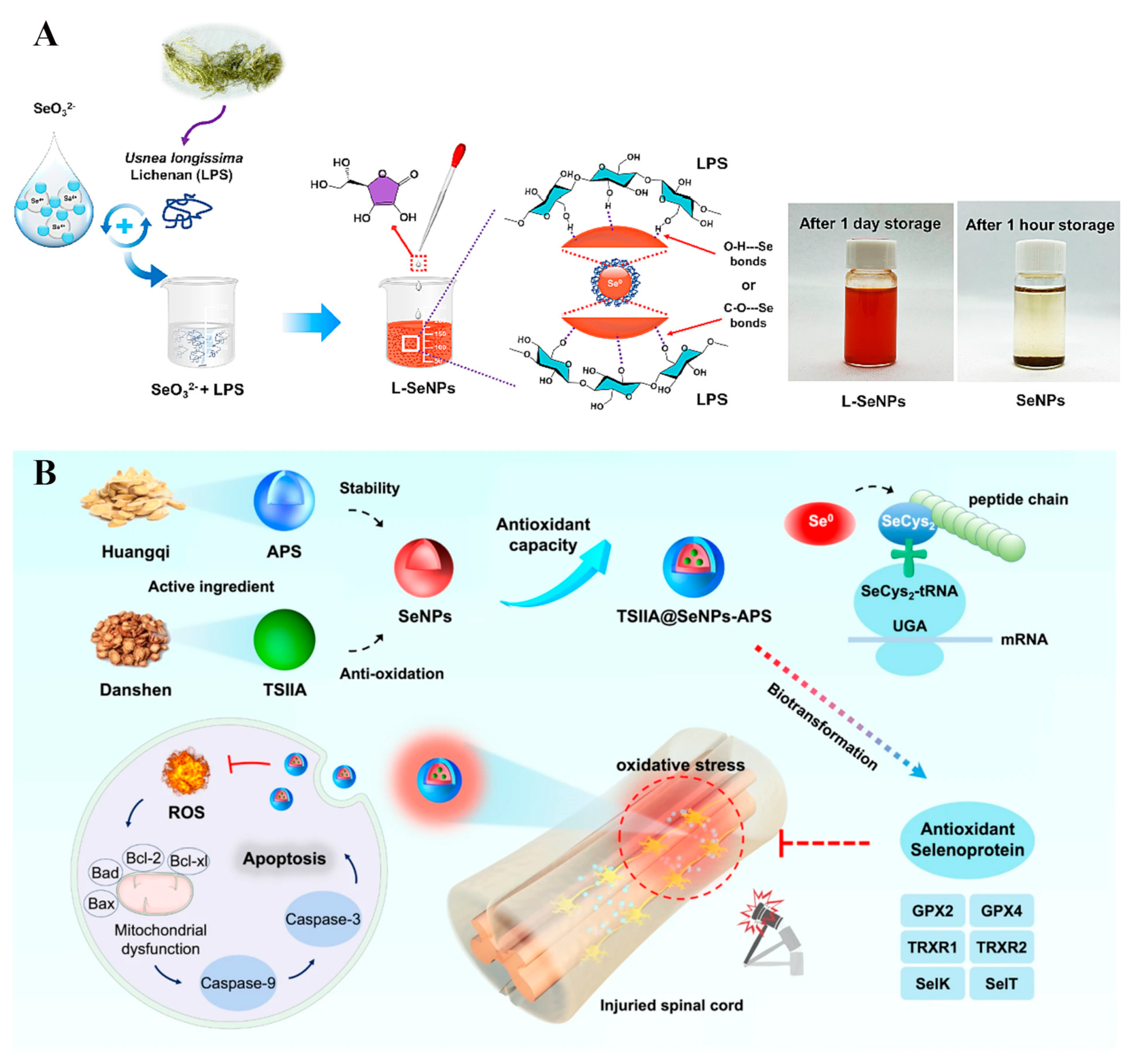 Biomimetics 08 00259 g007