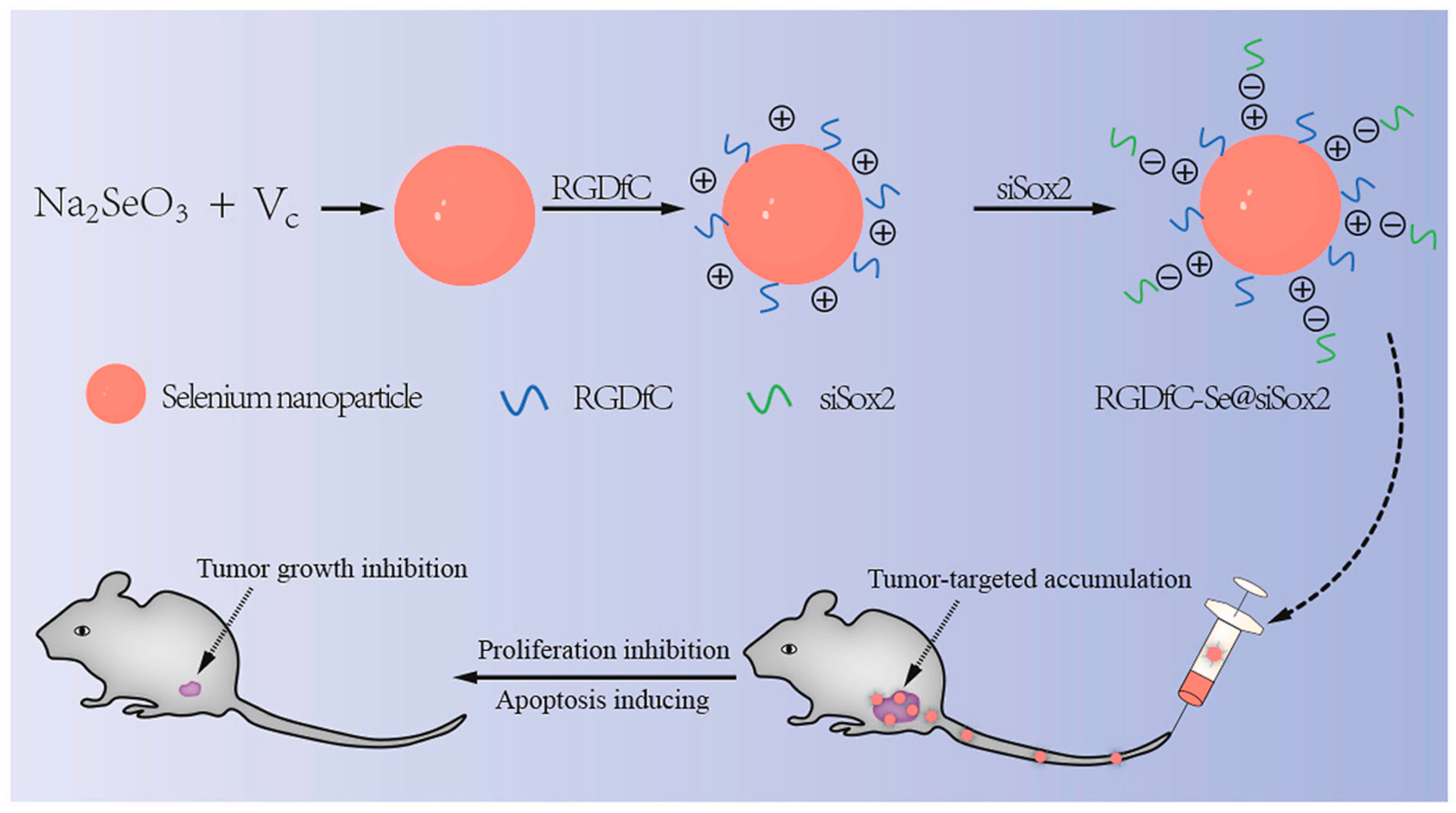 Biomimetics 08 00259 g008