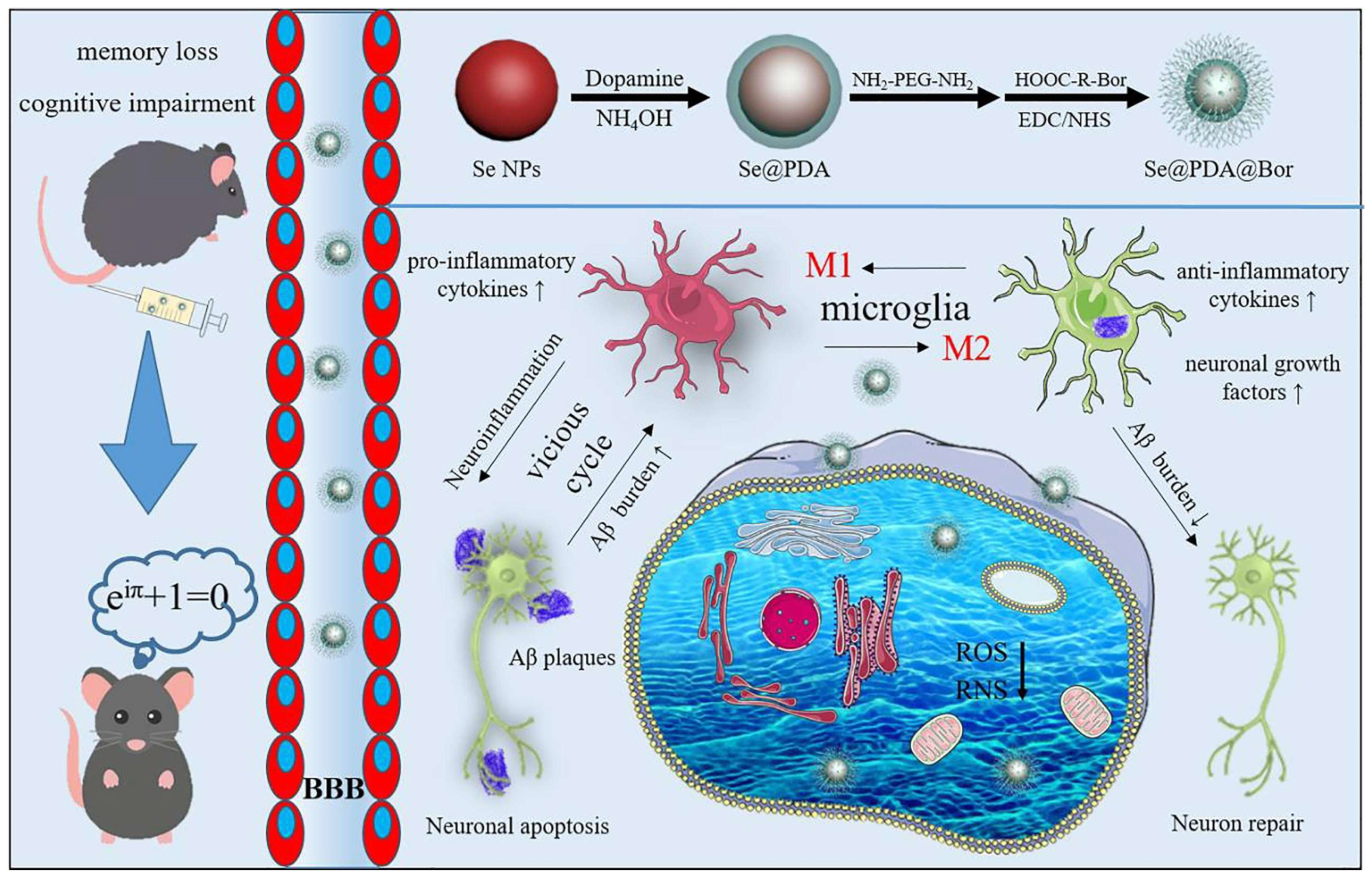 Biomimetics 08 00259 g009