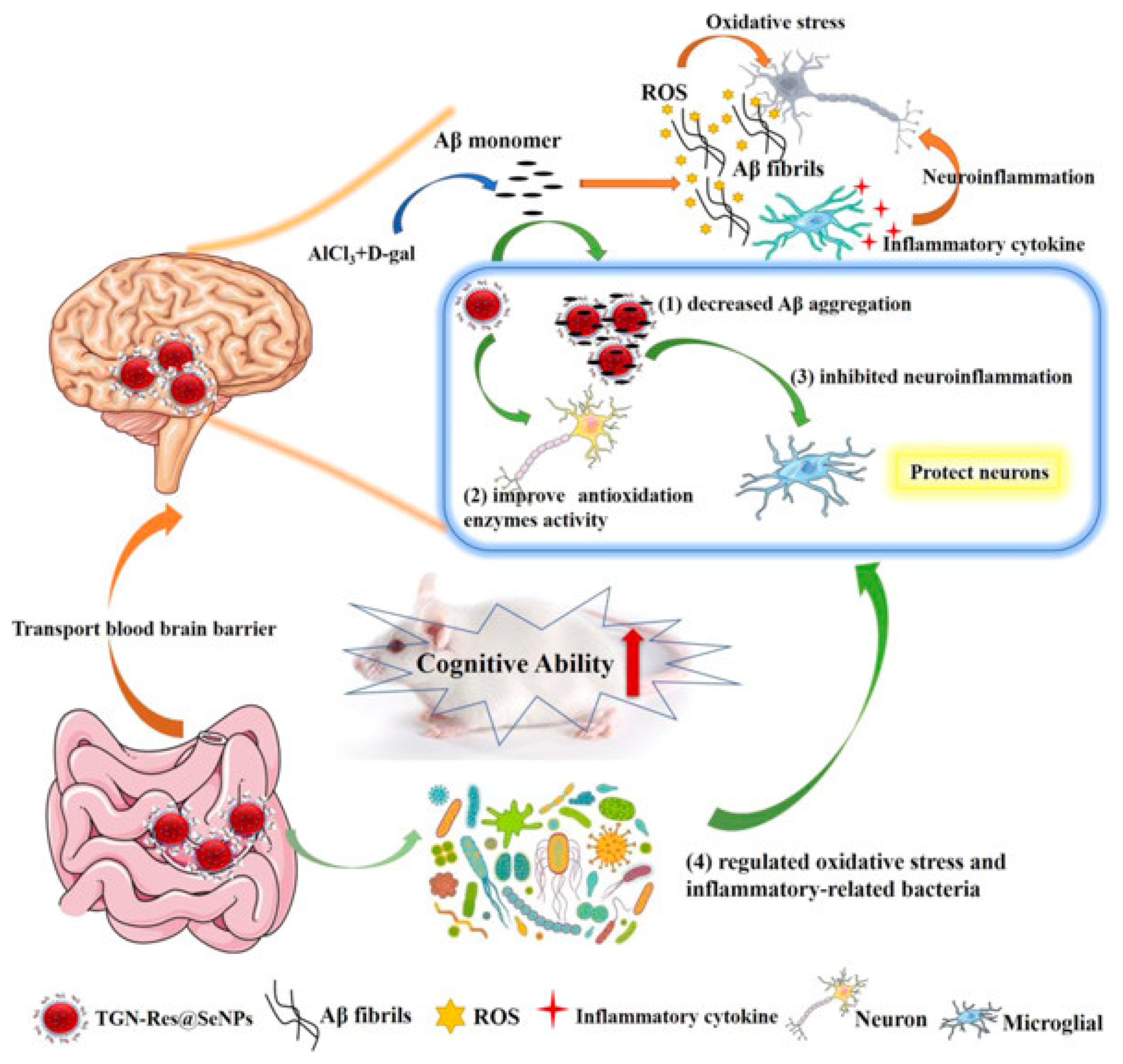 Biomimetics 08 00259 g010