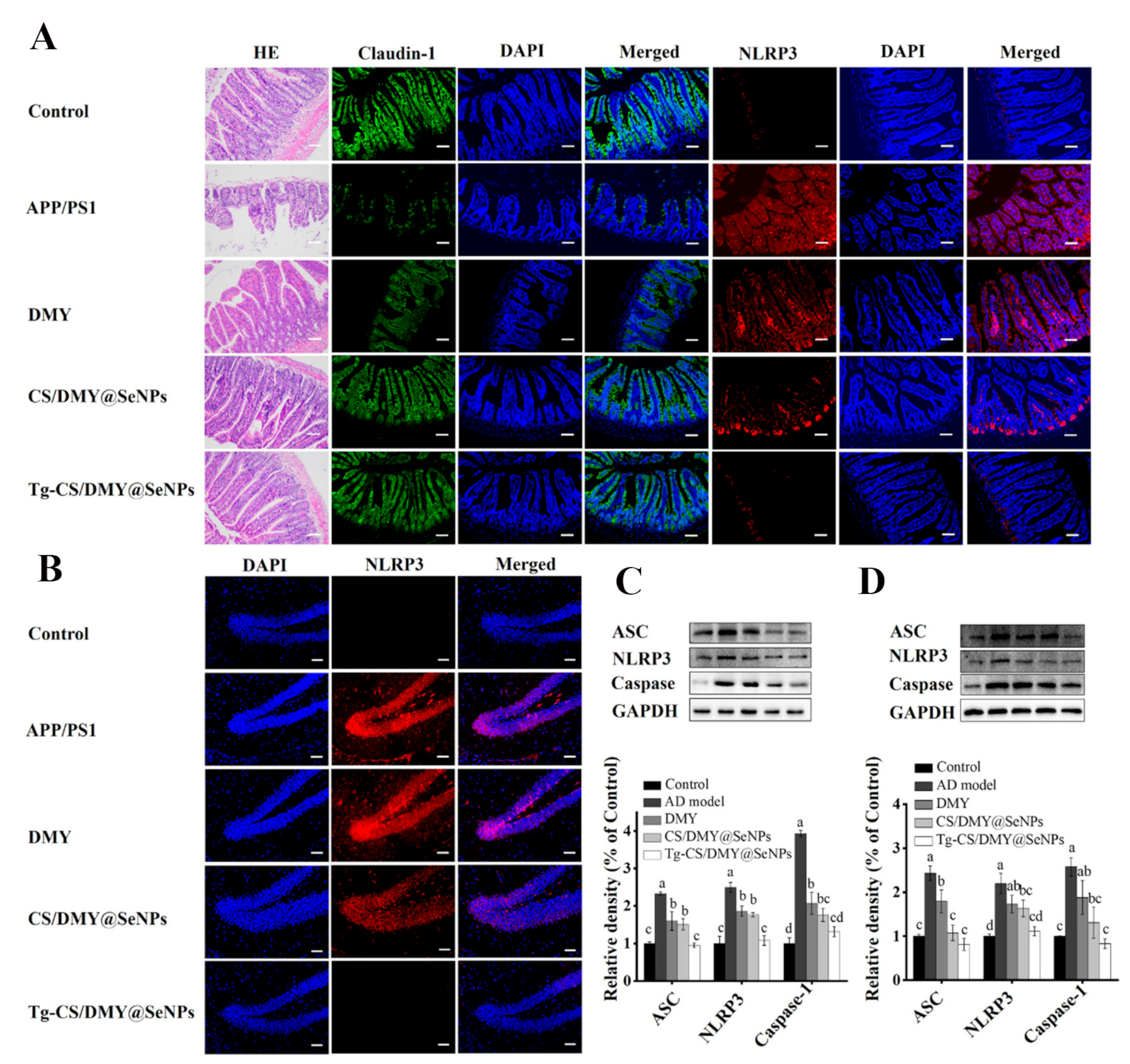 Biomimetics 08 00259 g011