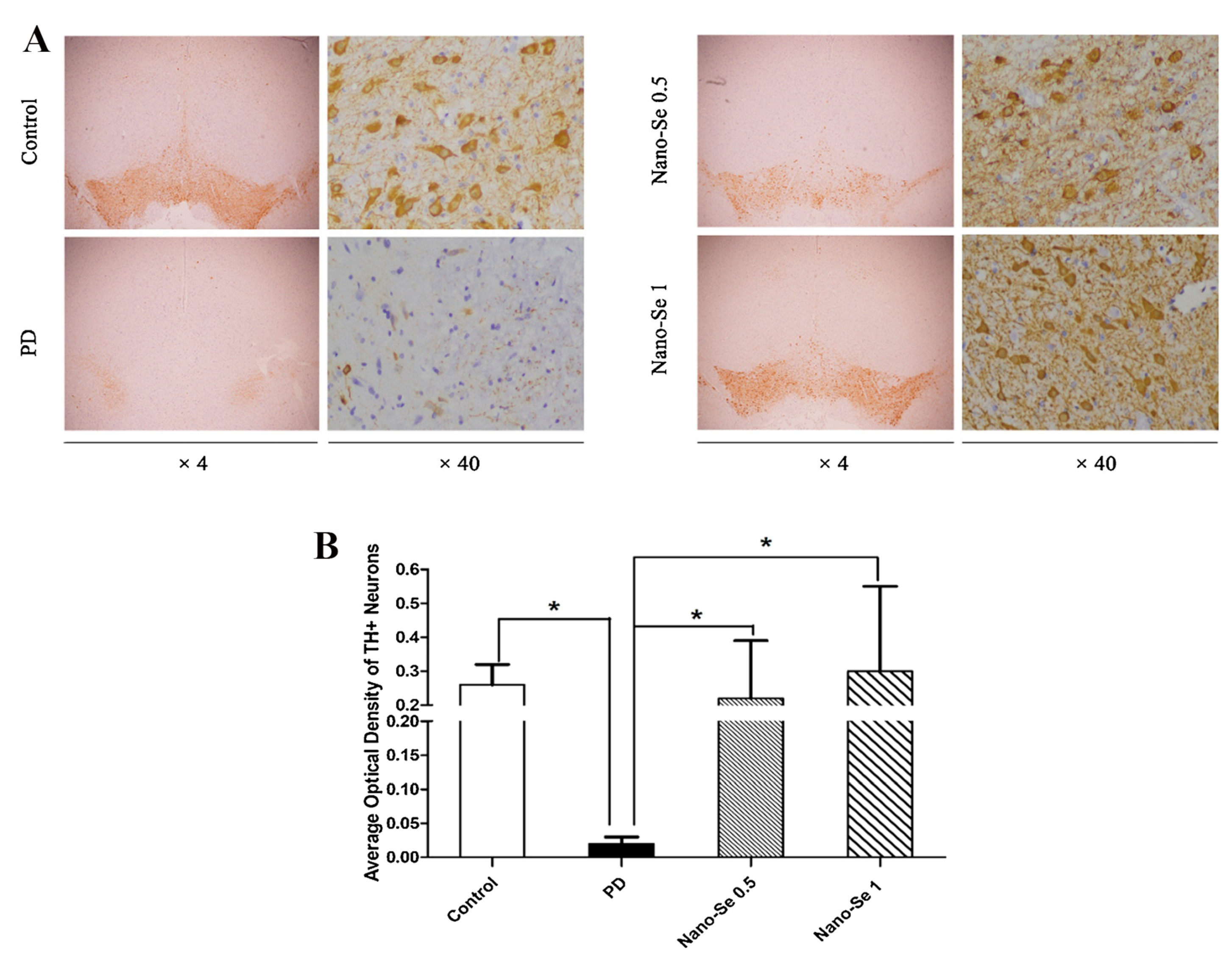 Biomimetics 08 00259 g012