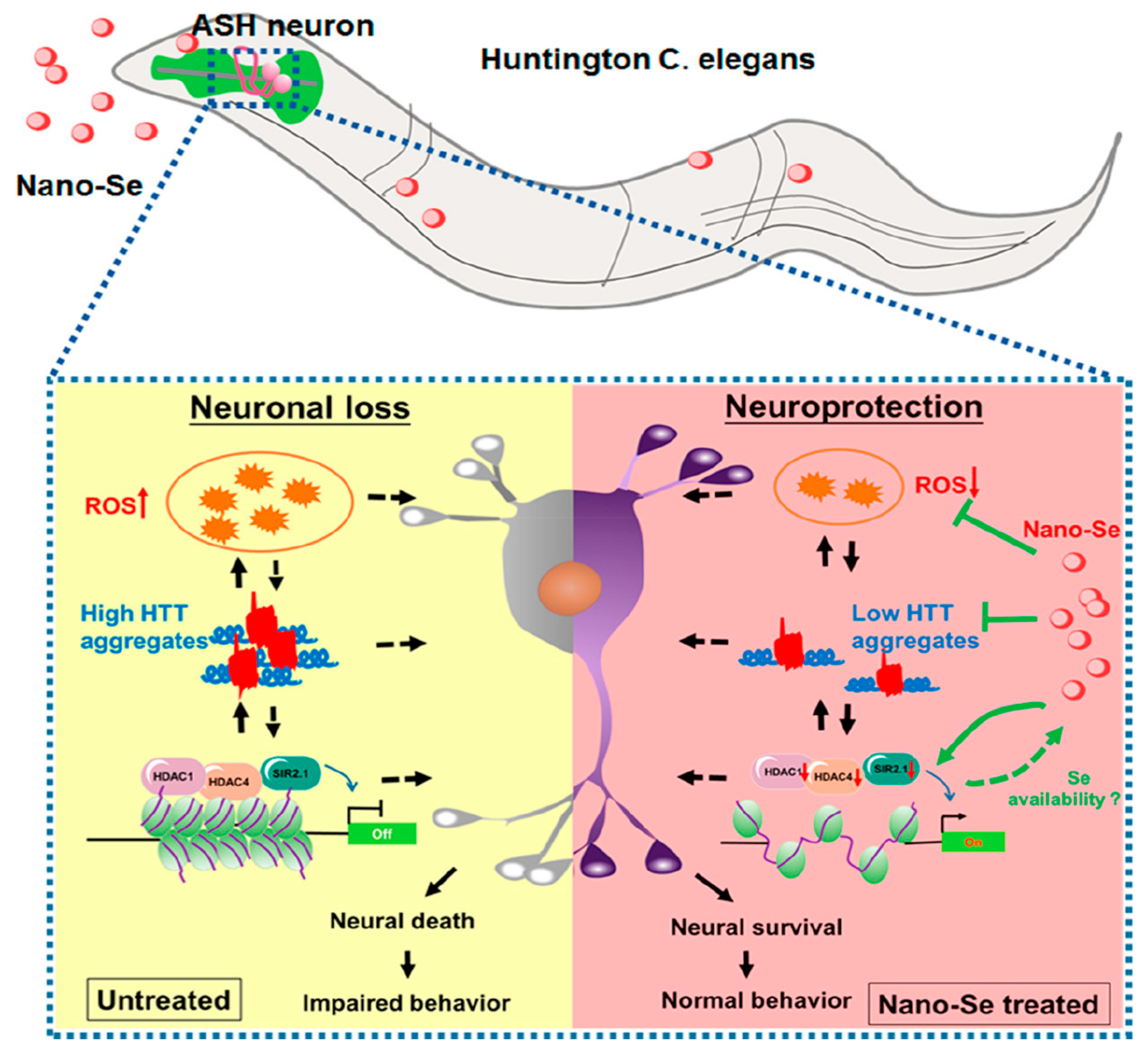 Biomimetics 08 00259 g013