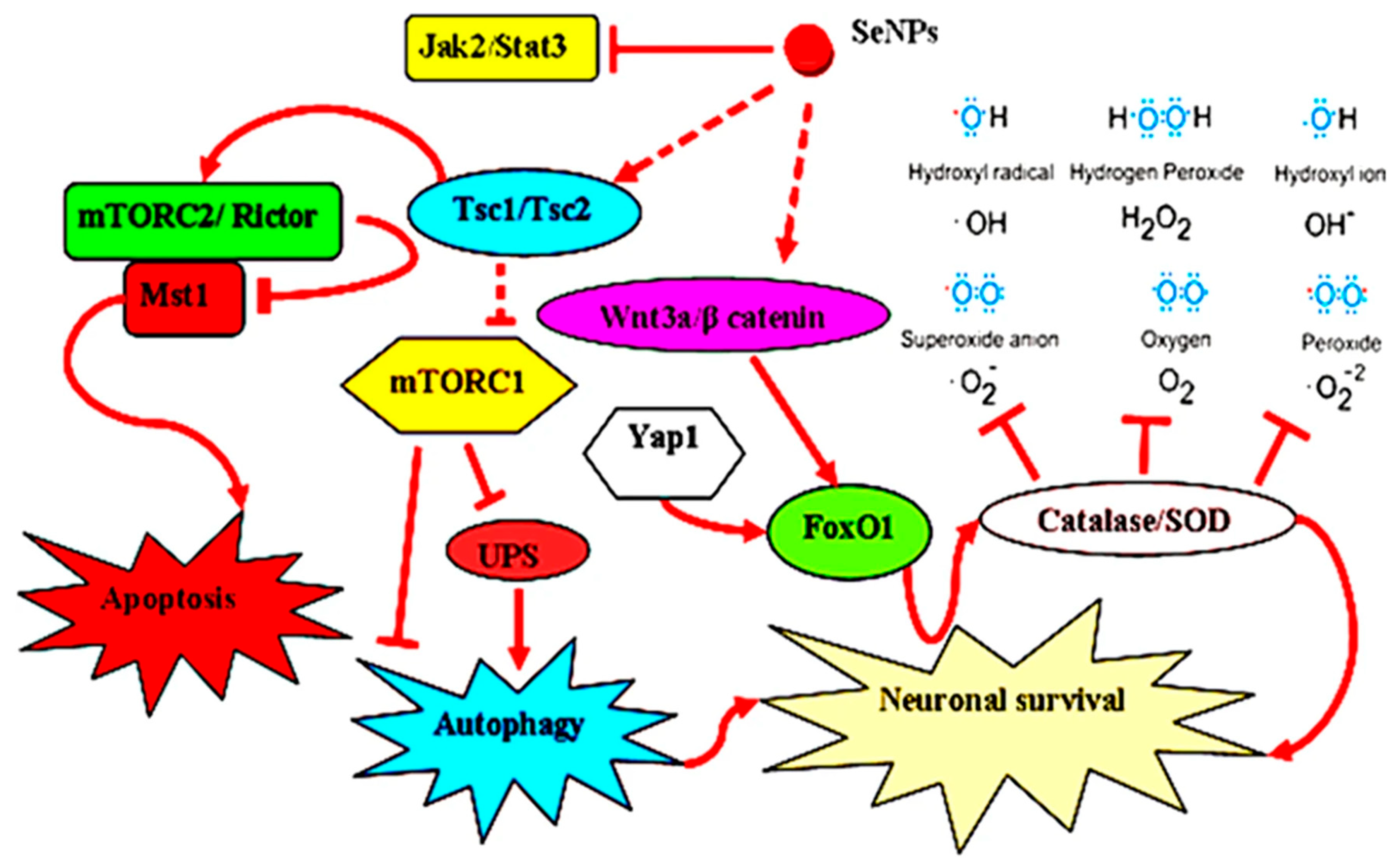 Biomimetics 08 00259 g015