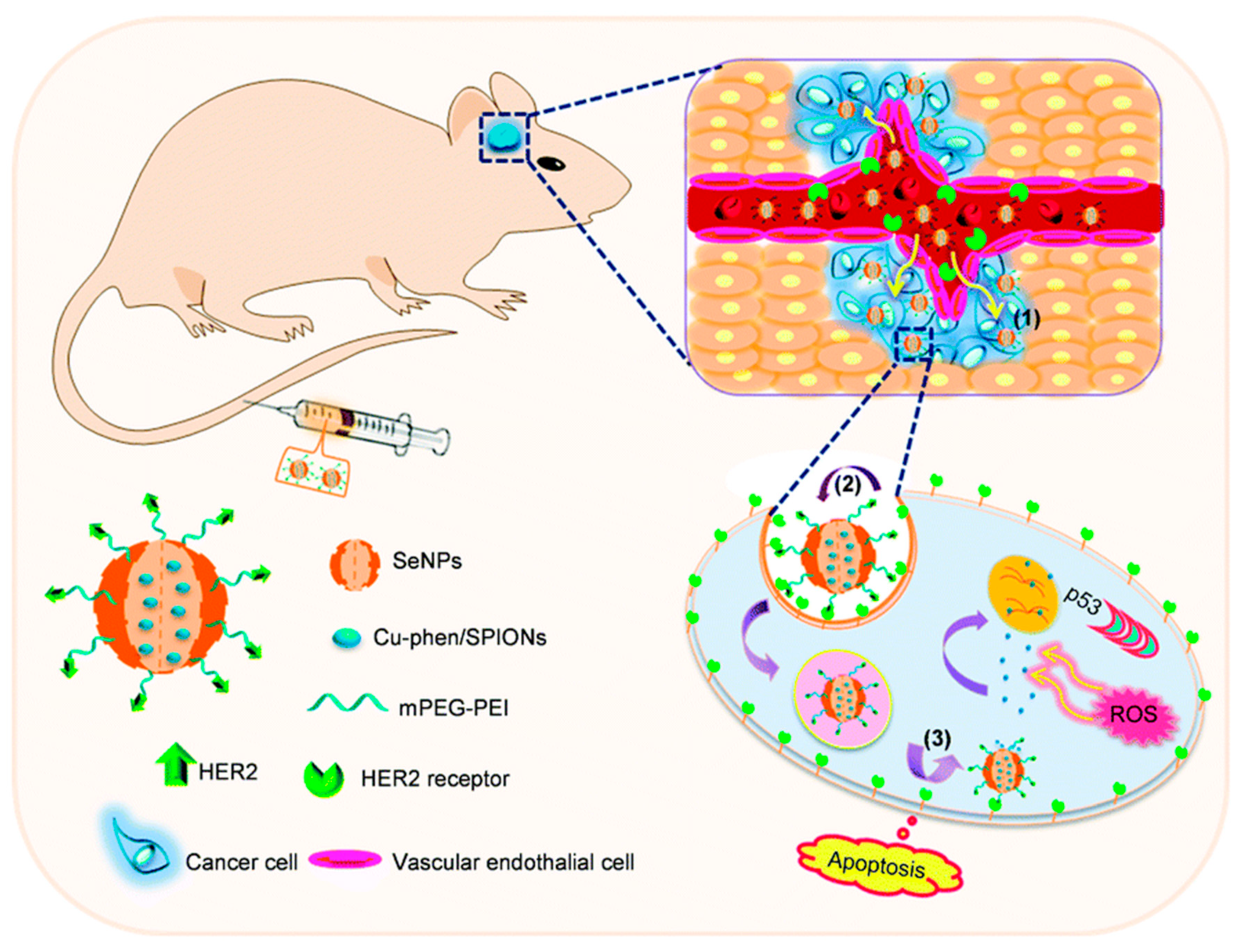 Biomimetics 08 00259 g016