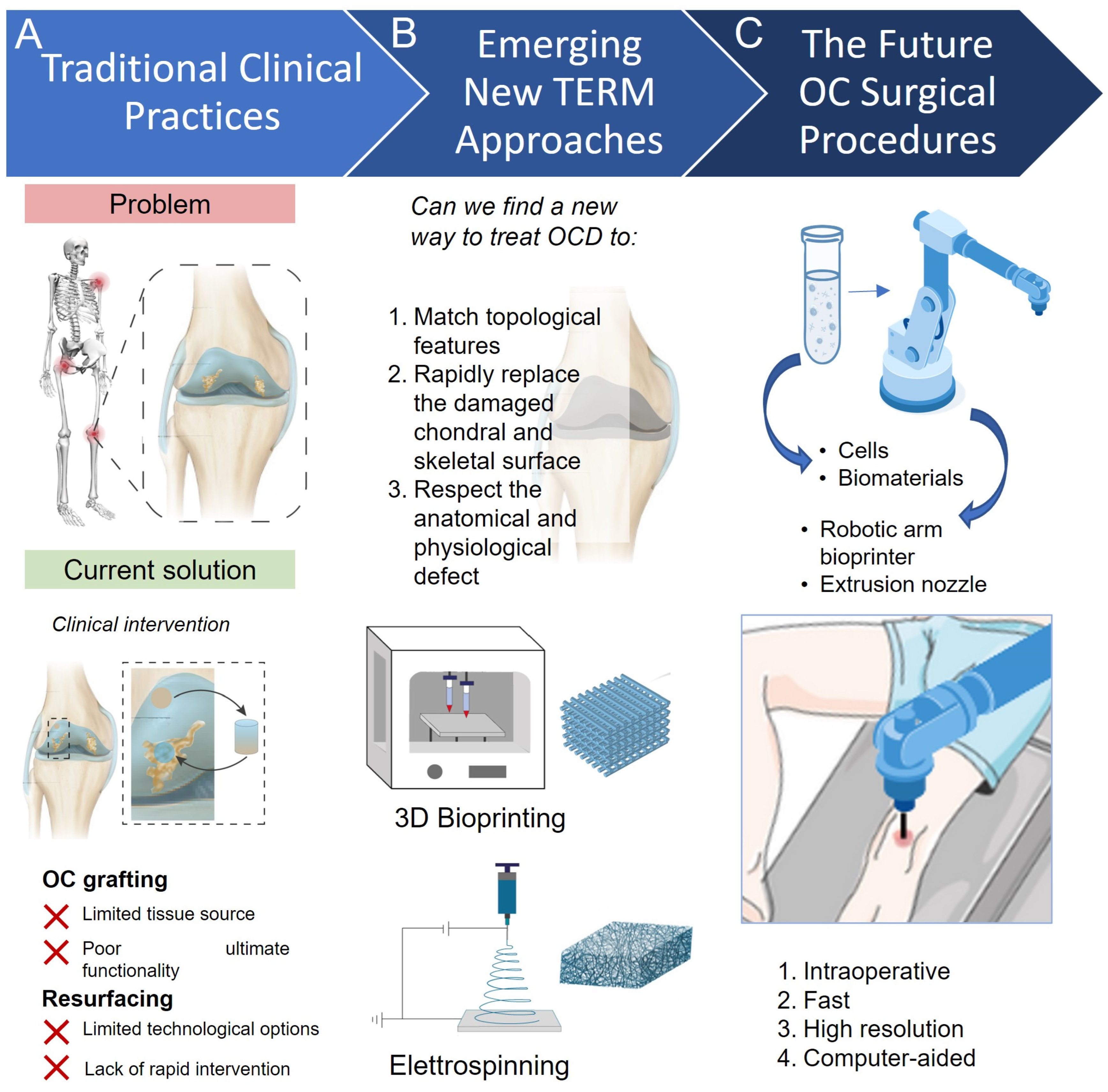 Biomimetics 08 00260 g001