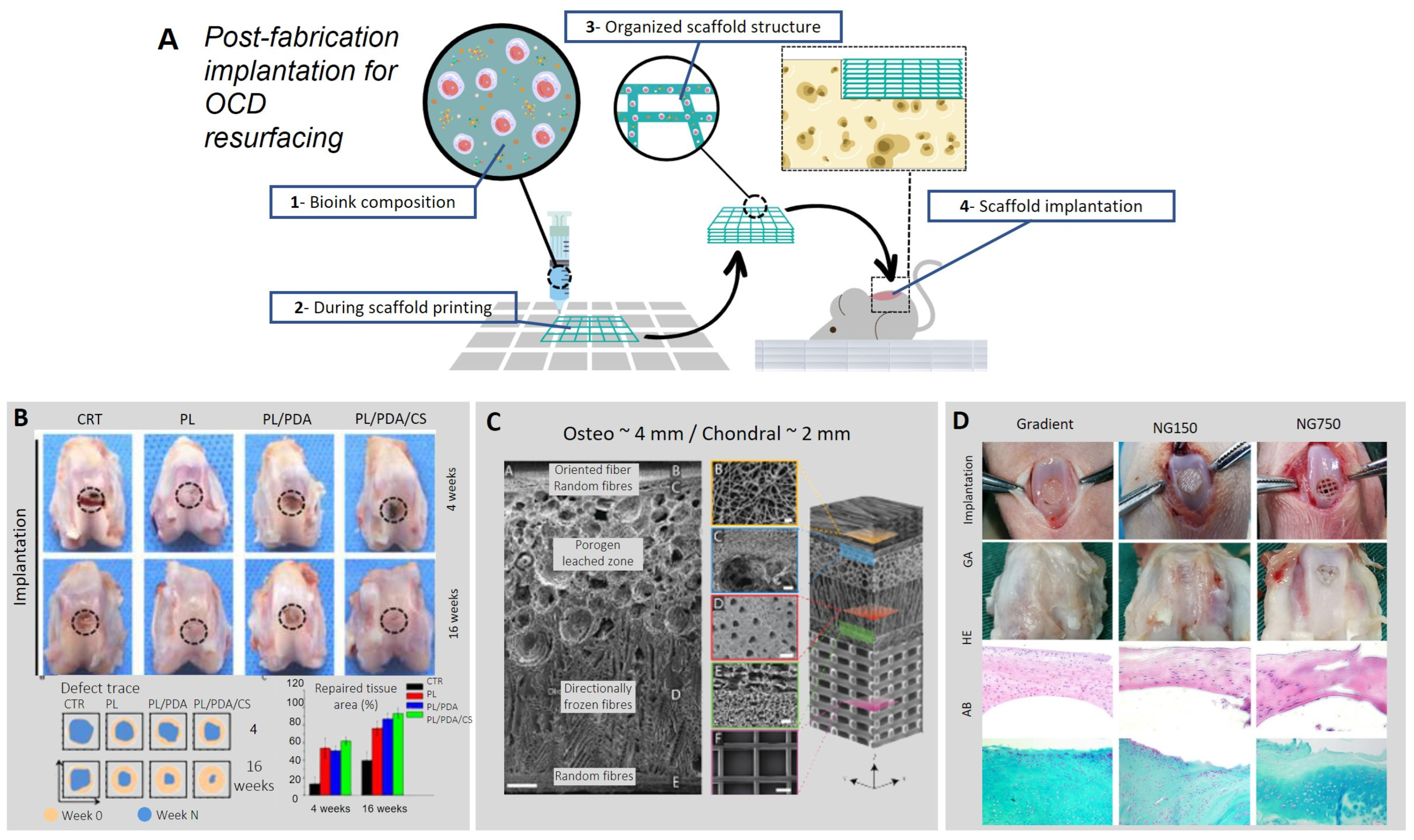 Biomimetics 08 00260 g002