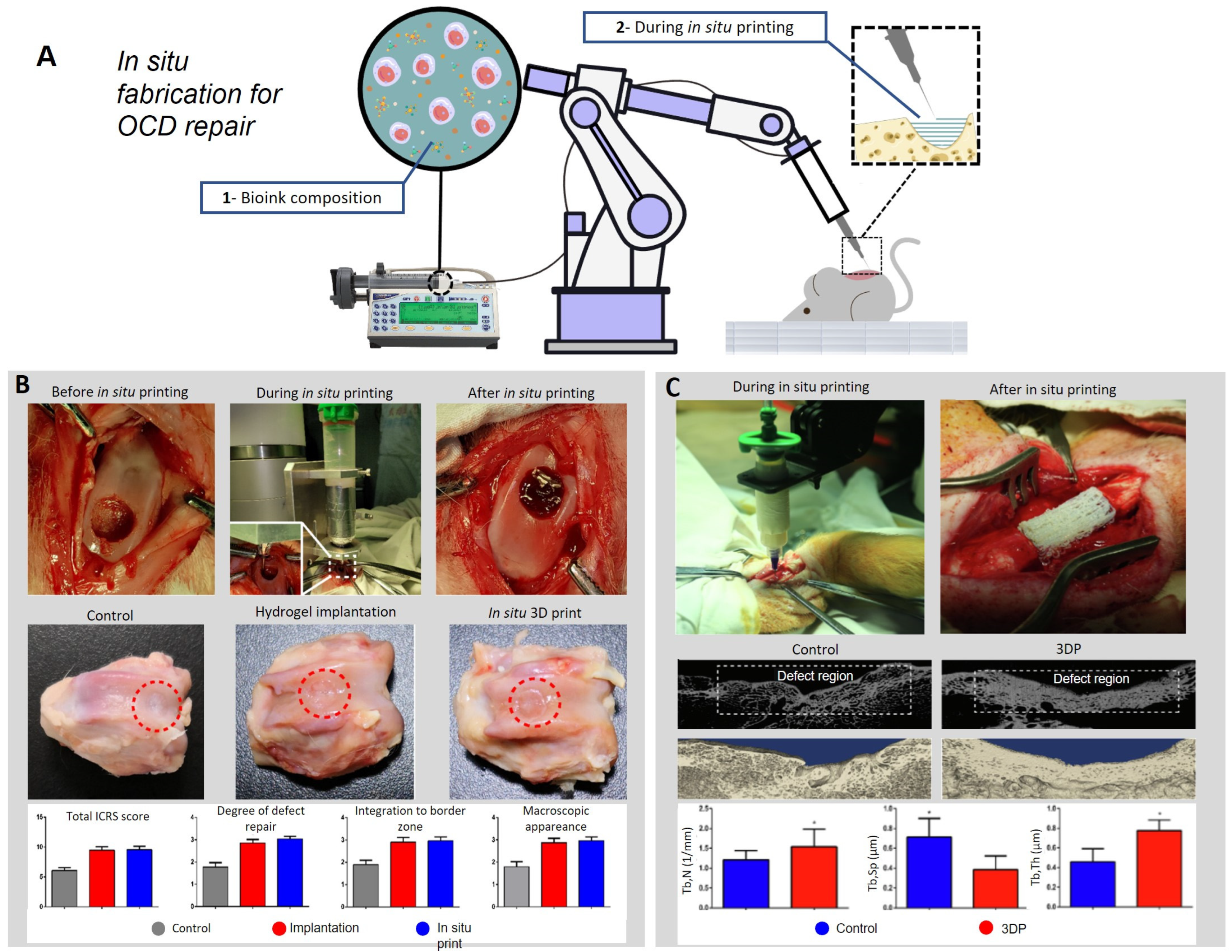 Biomimetics 08 00260 g003
