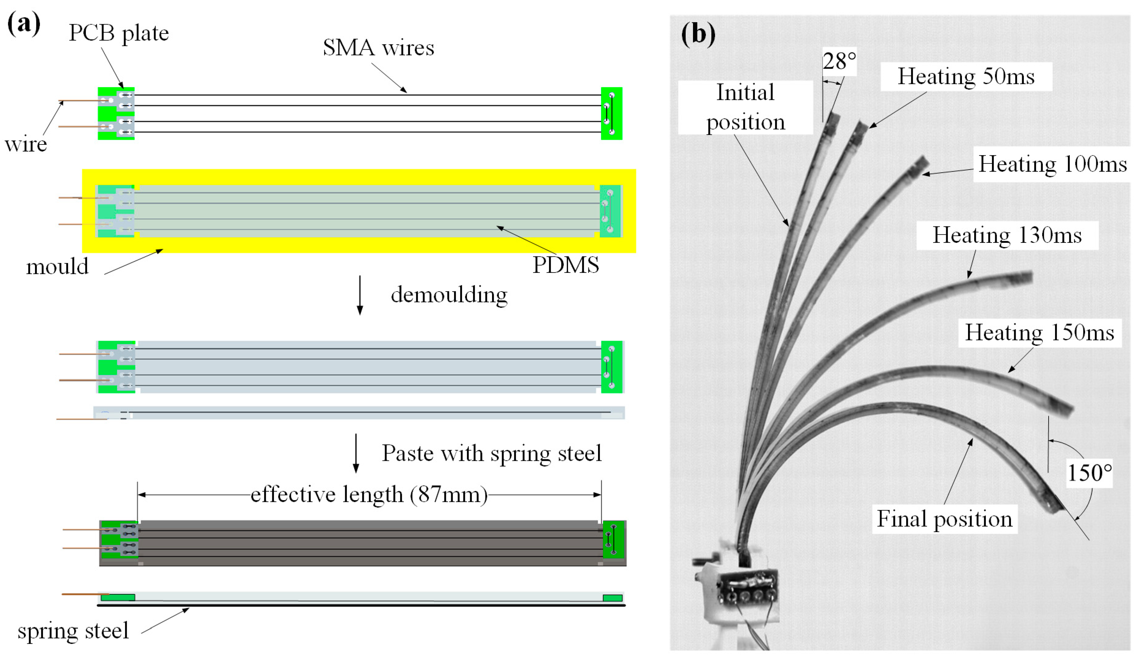 Biomimetics 08 00261 g003